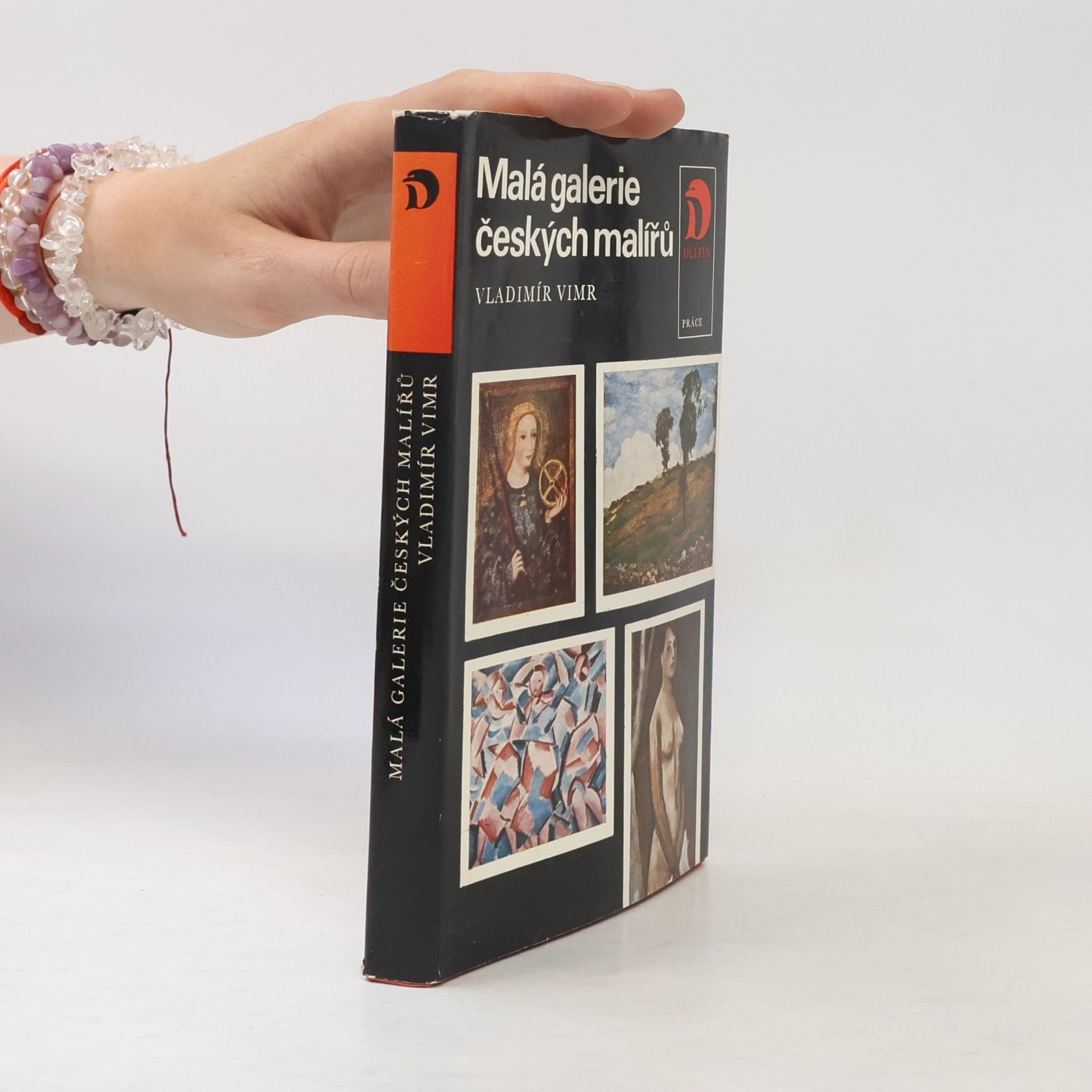 Vladimír Vimr Malá galerie českých malířů
