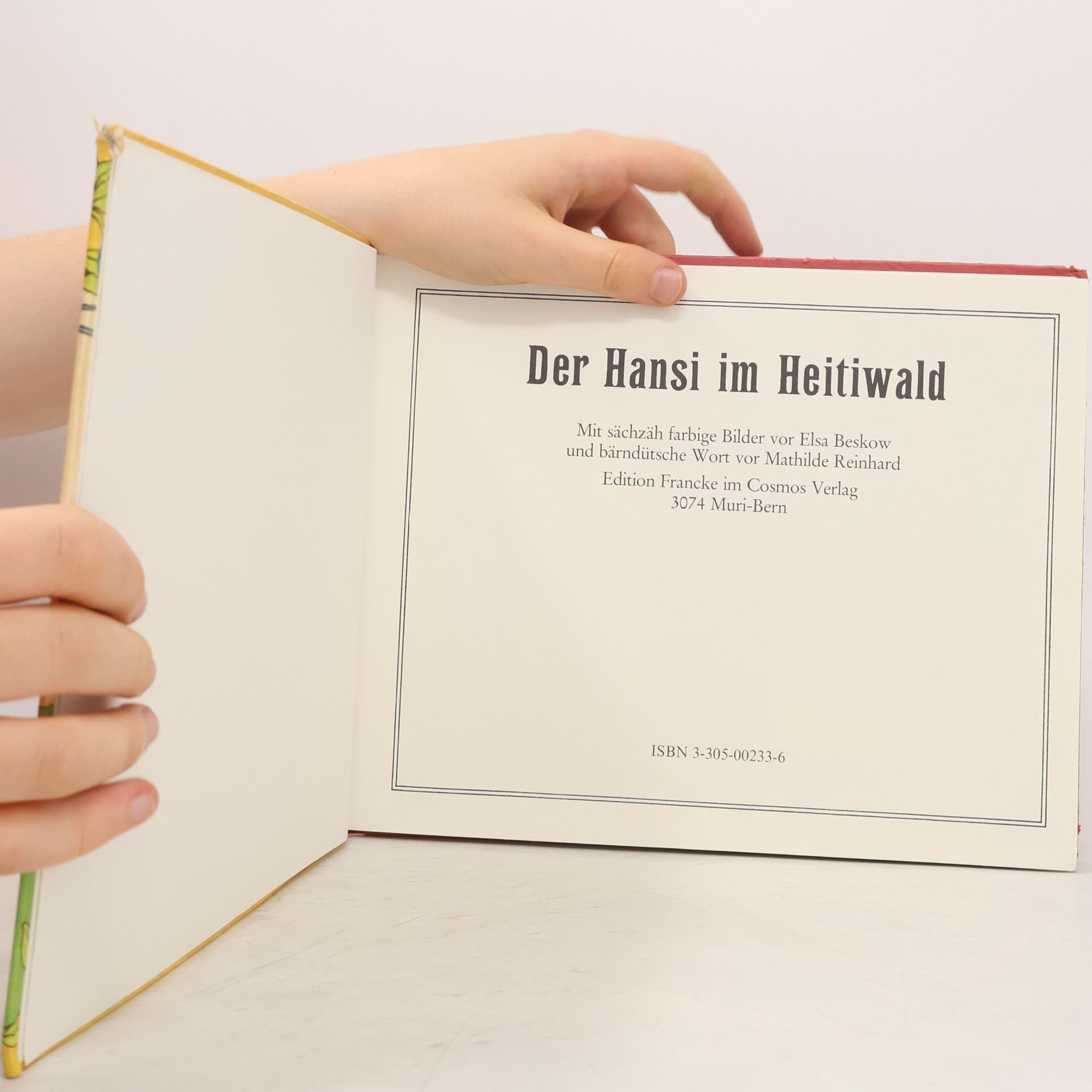 kolektiv Der hansi im Heitiwald