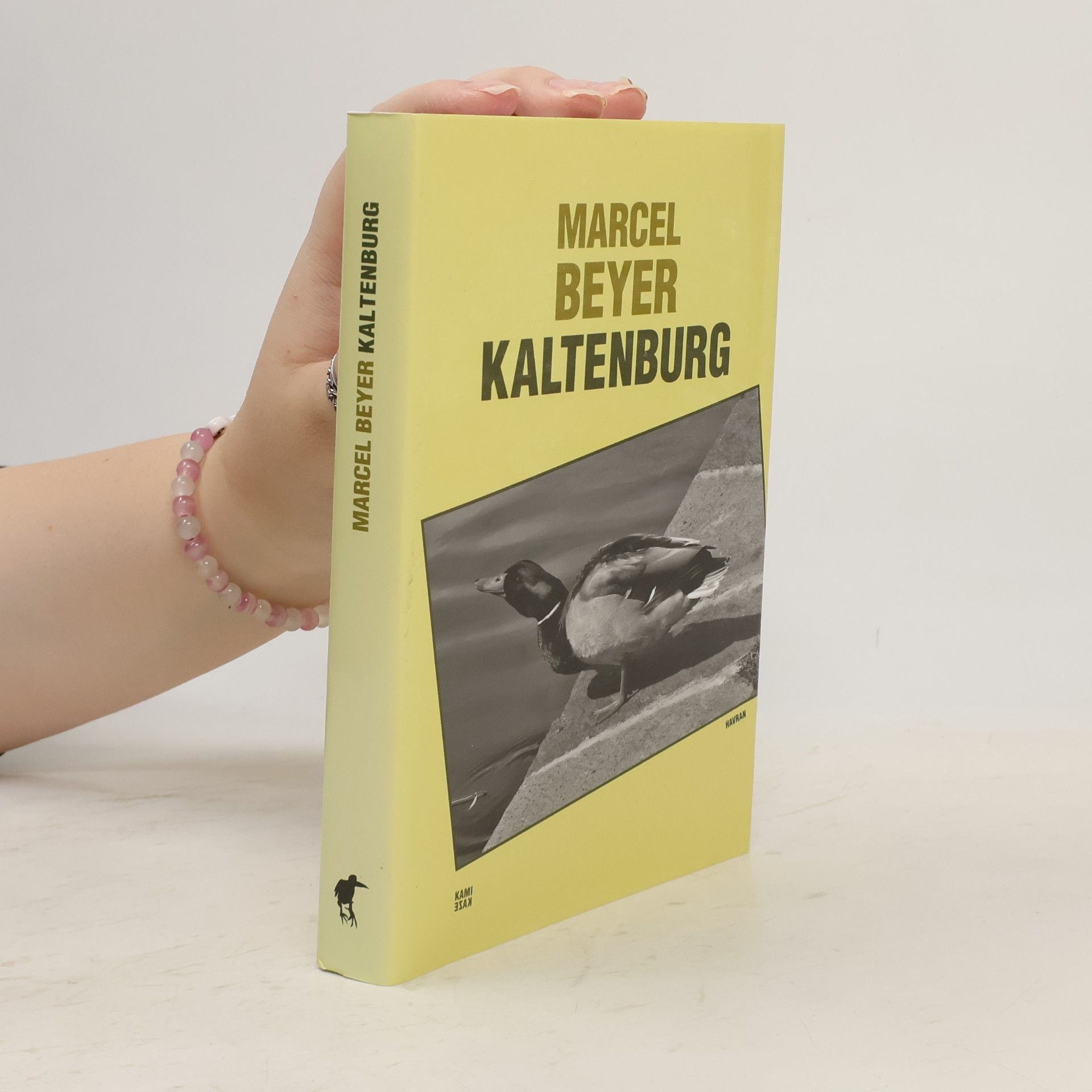 Marcel Beyer Kaltenburg