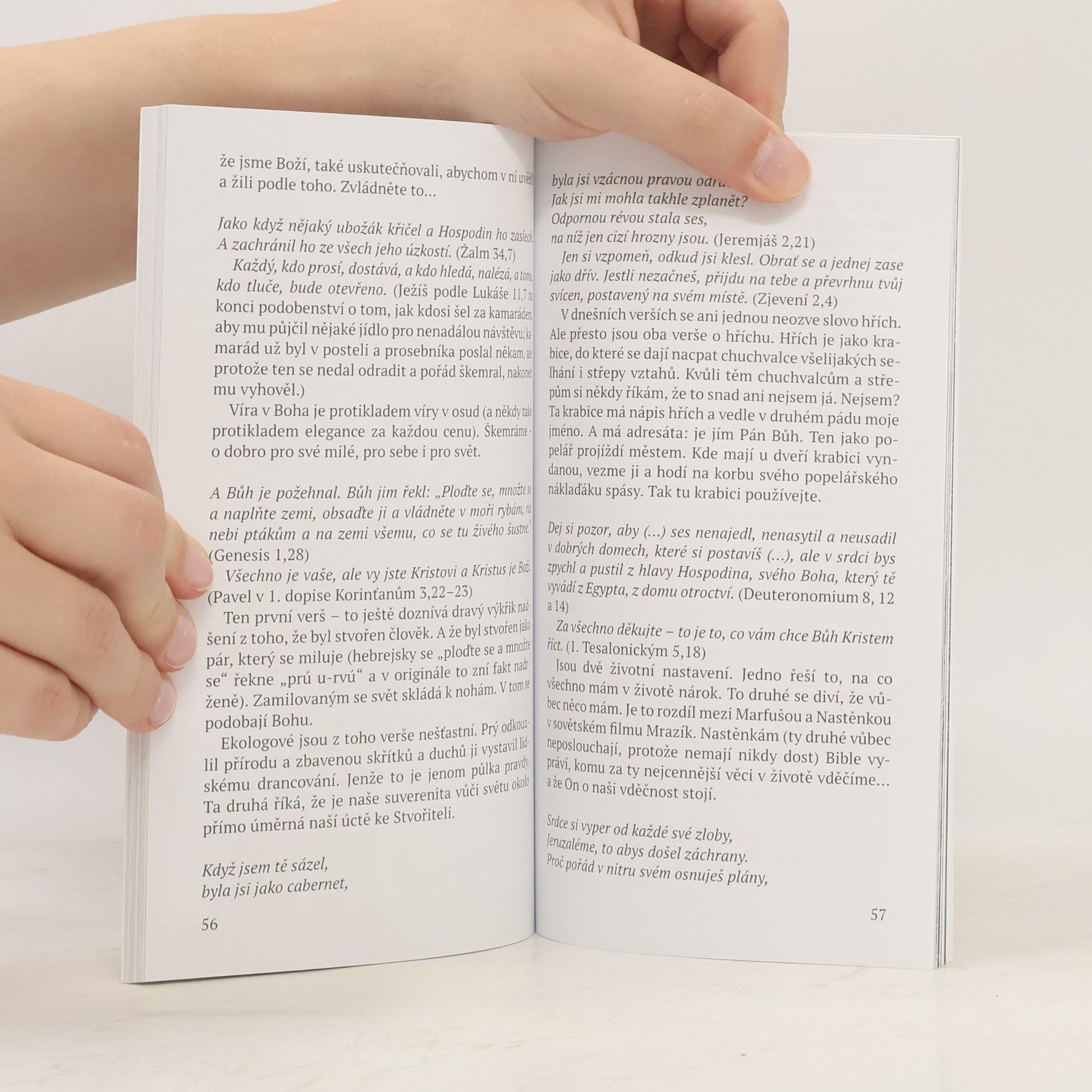 Kolektiv autorů Zastav se na chvíli... : biblické meditace na rok 2023