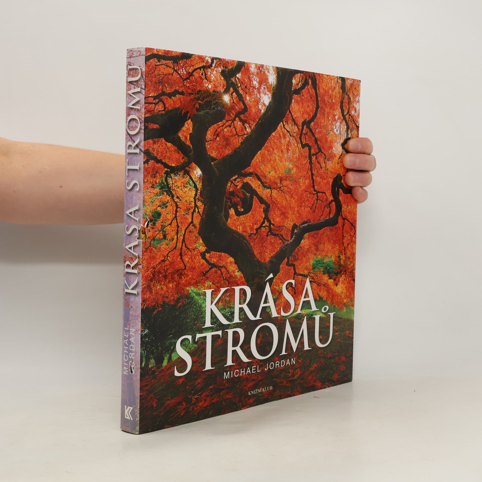 Tony Kirkham Krása stromů