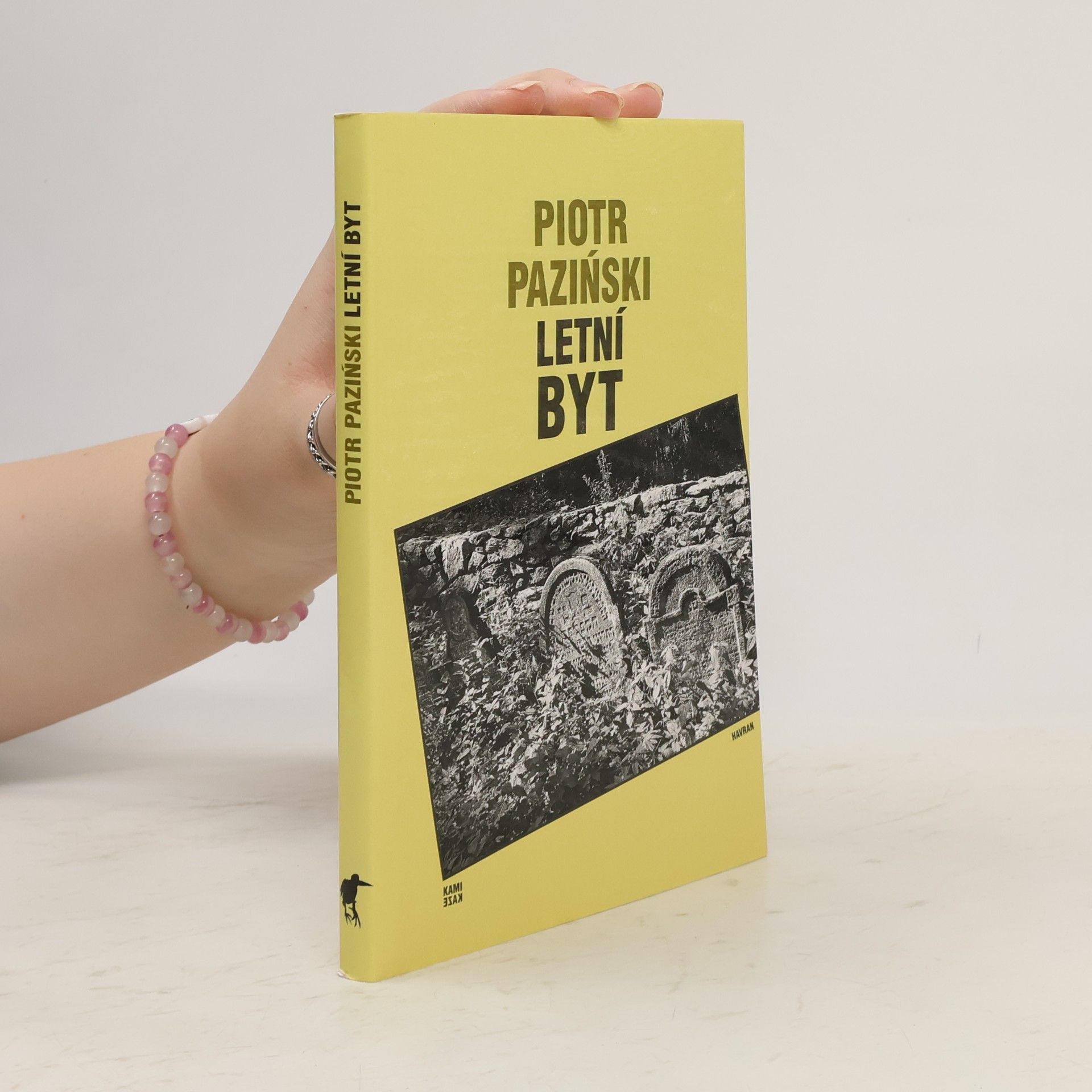Piotr Paziński Letní byt