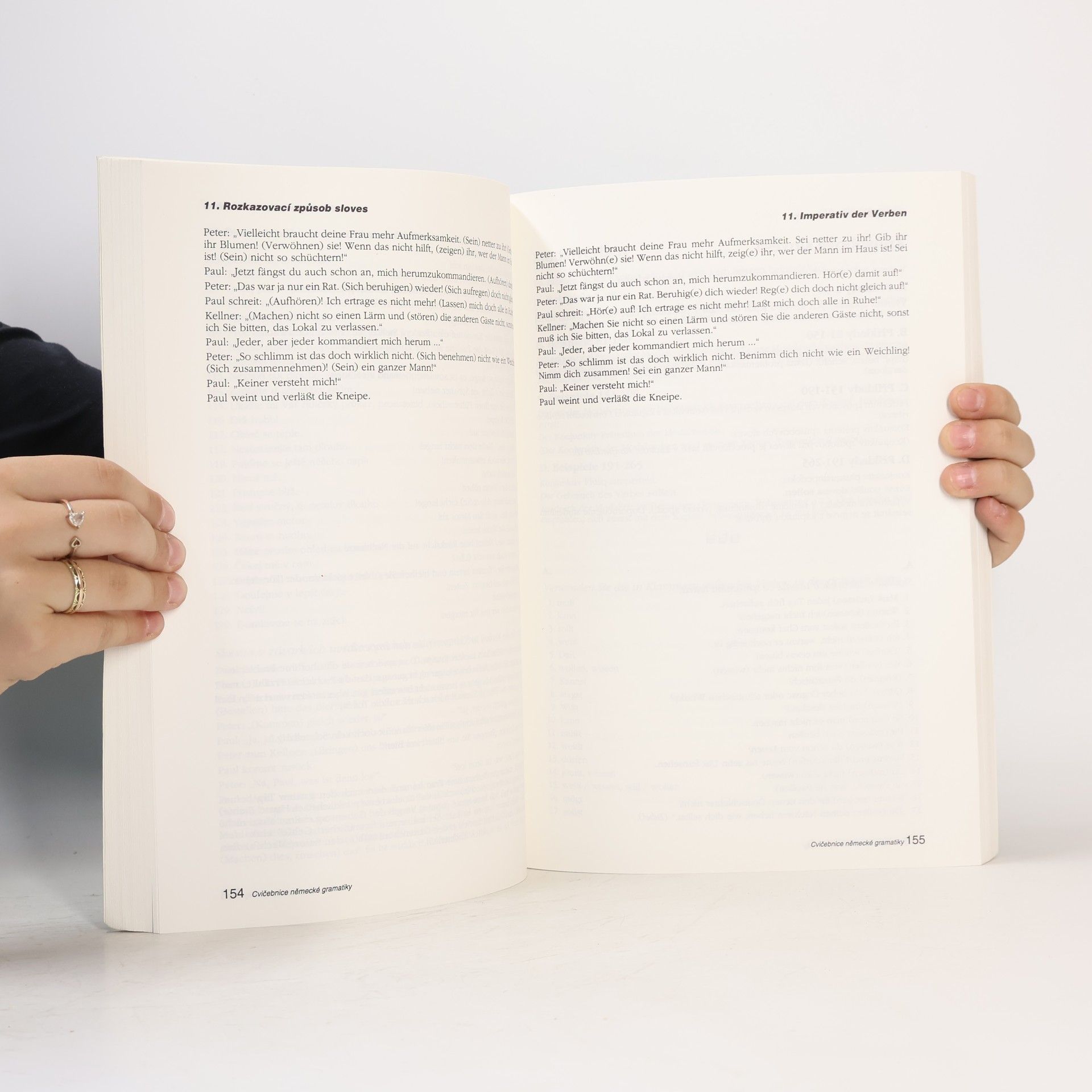 Various authors Cvičebnice německé gramatiky : Příklady k základním gramatickým jevům s řešením