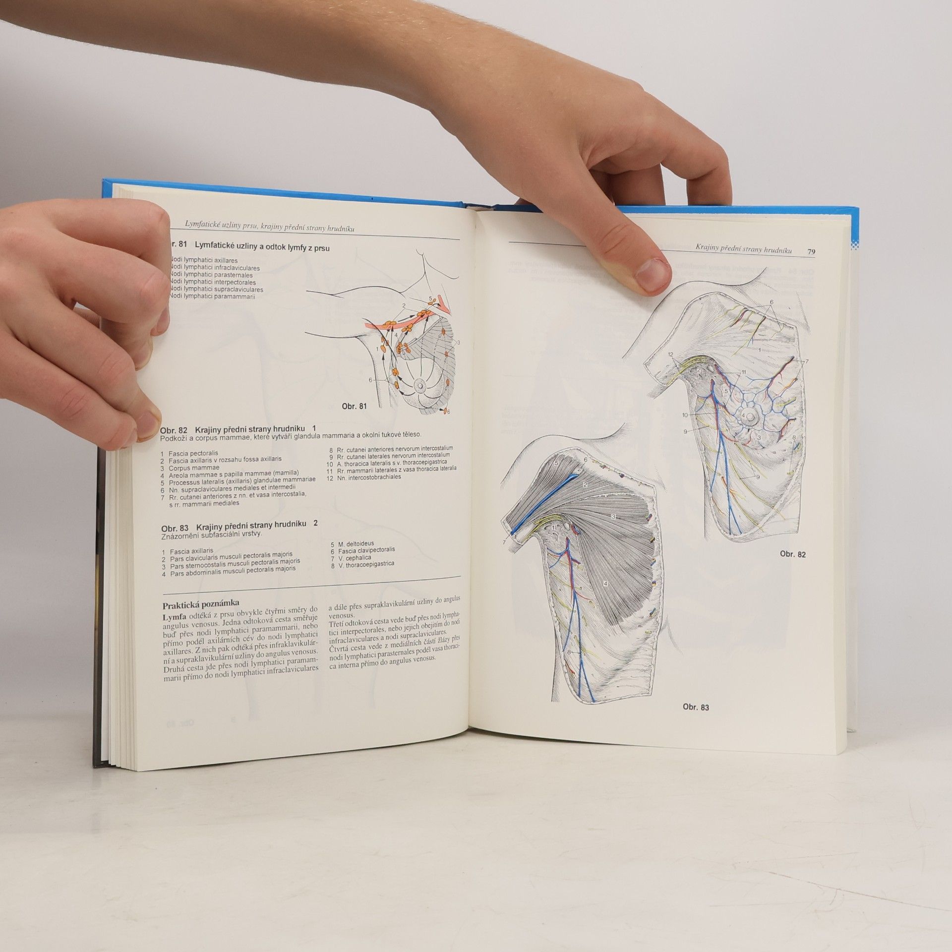 Gerhard Spitzer Atlas topografické anatomie