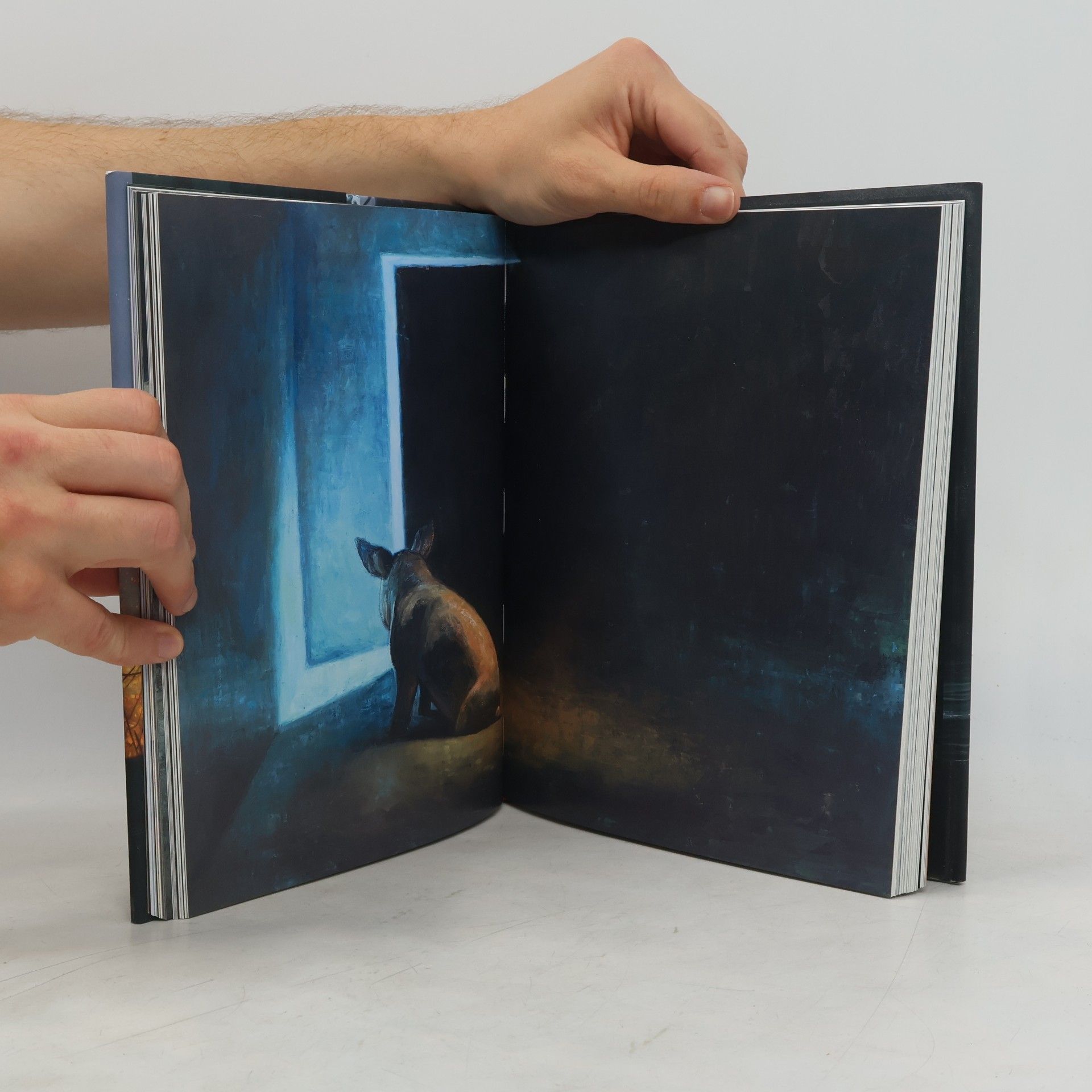 Shaun Tan Tales from the Inner City