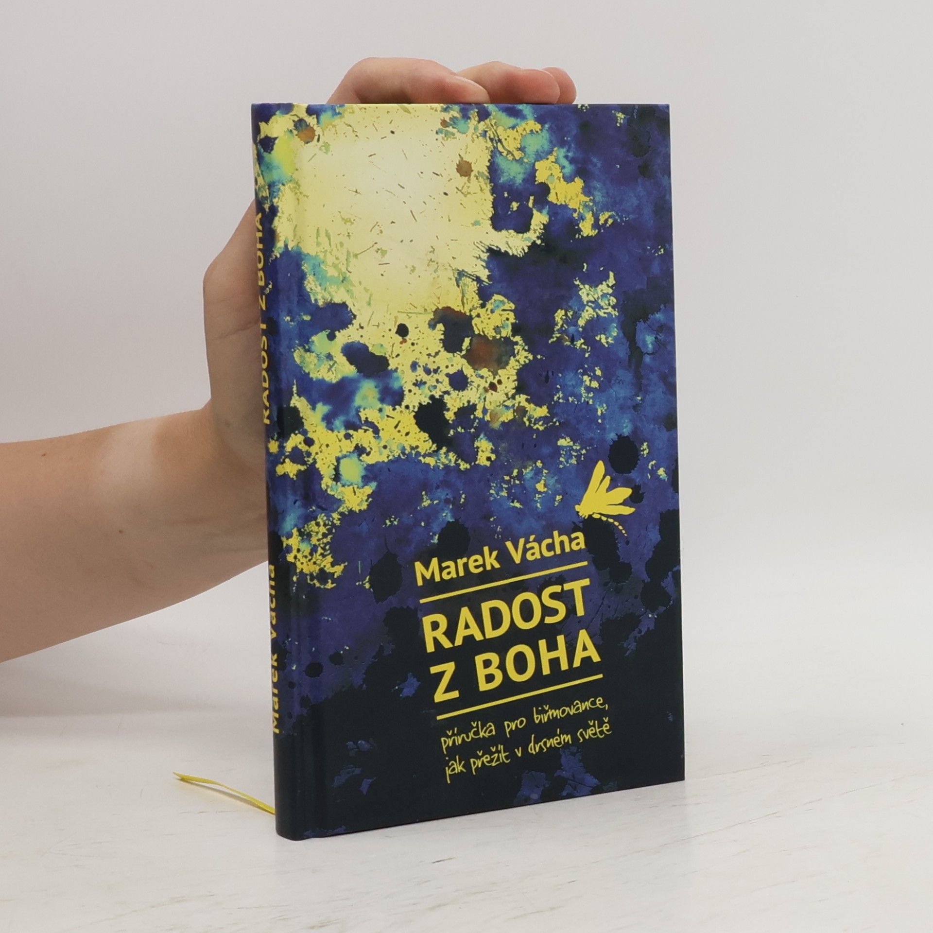 Marek Vácha Radost z Boha. Příručka pro biřmovance, jak přežít v drsném světě