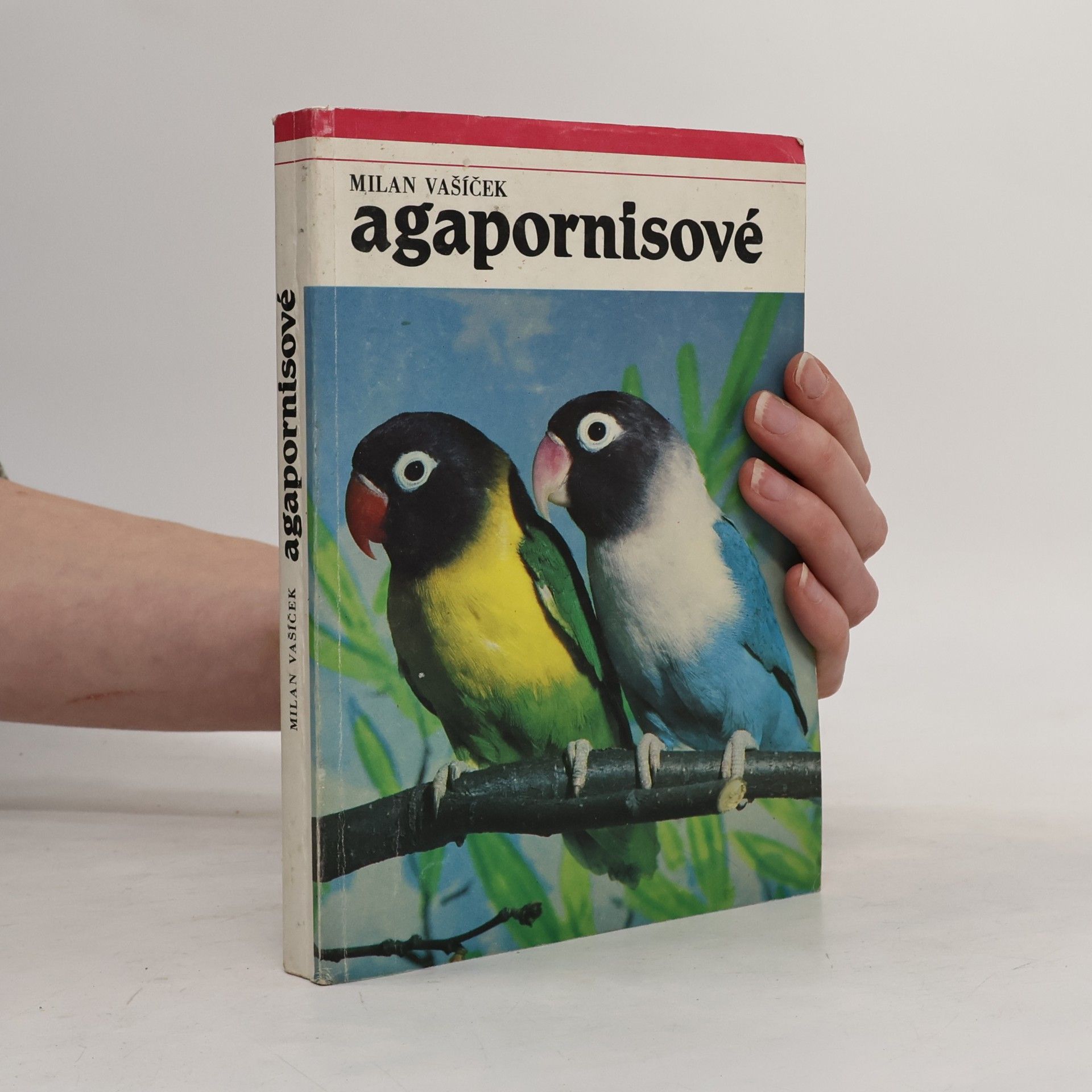 Rudolf Vít Agapornisové