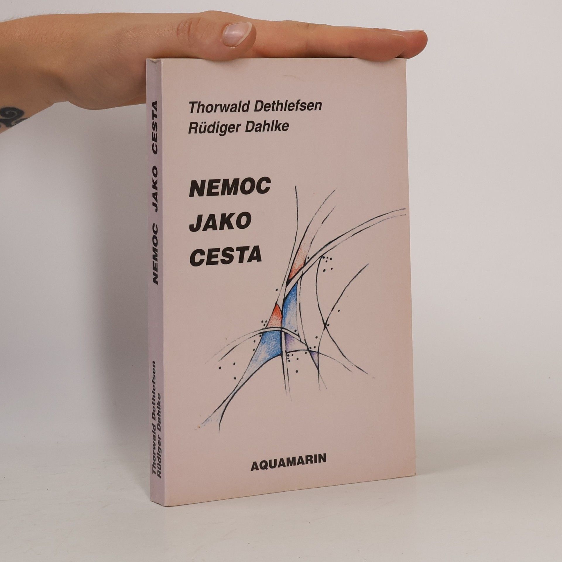 Thorwald Dethlefsen Nemoc jako cesta