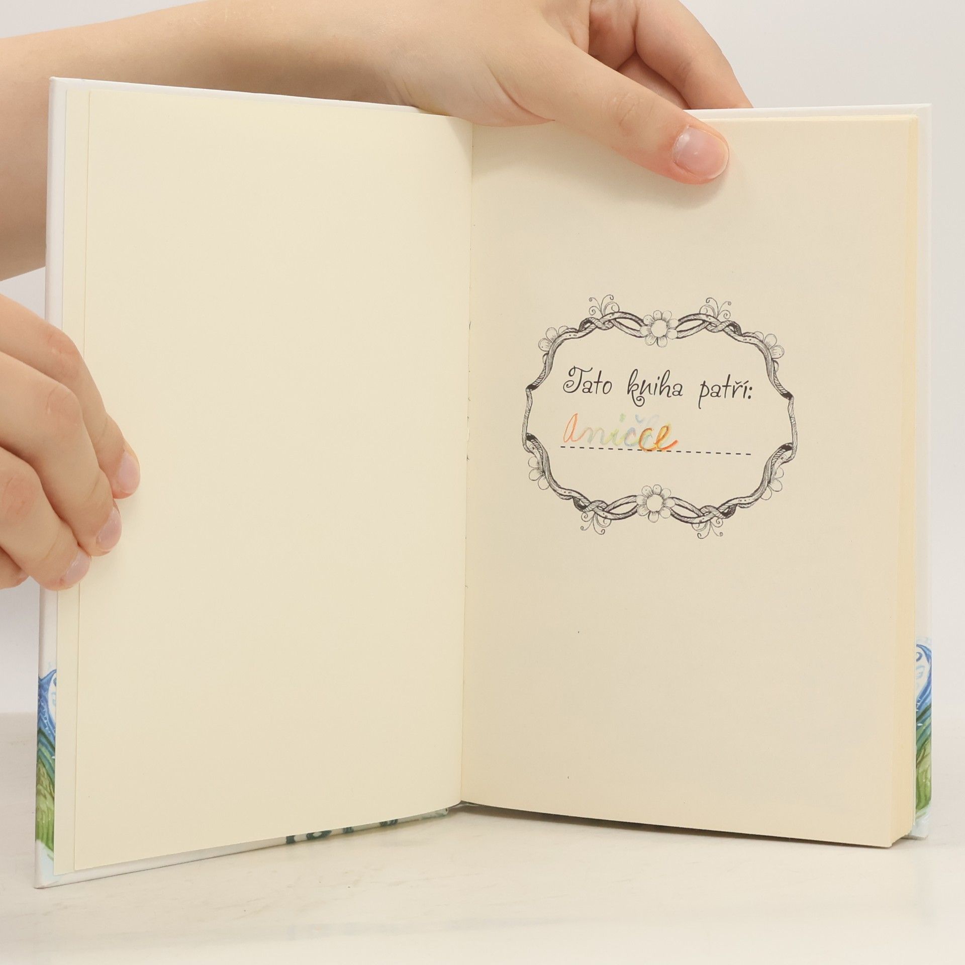Lily Small Zvířátka z Kouzelného lesa. Ježeček Jája