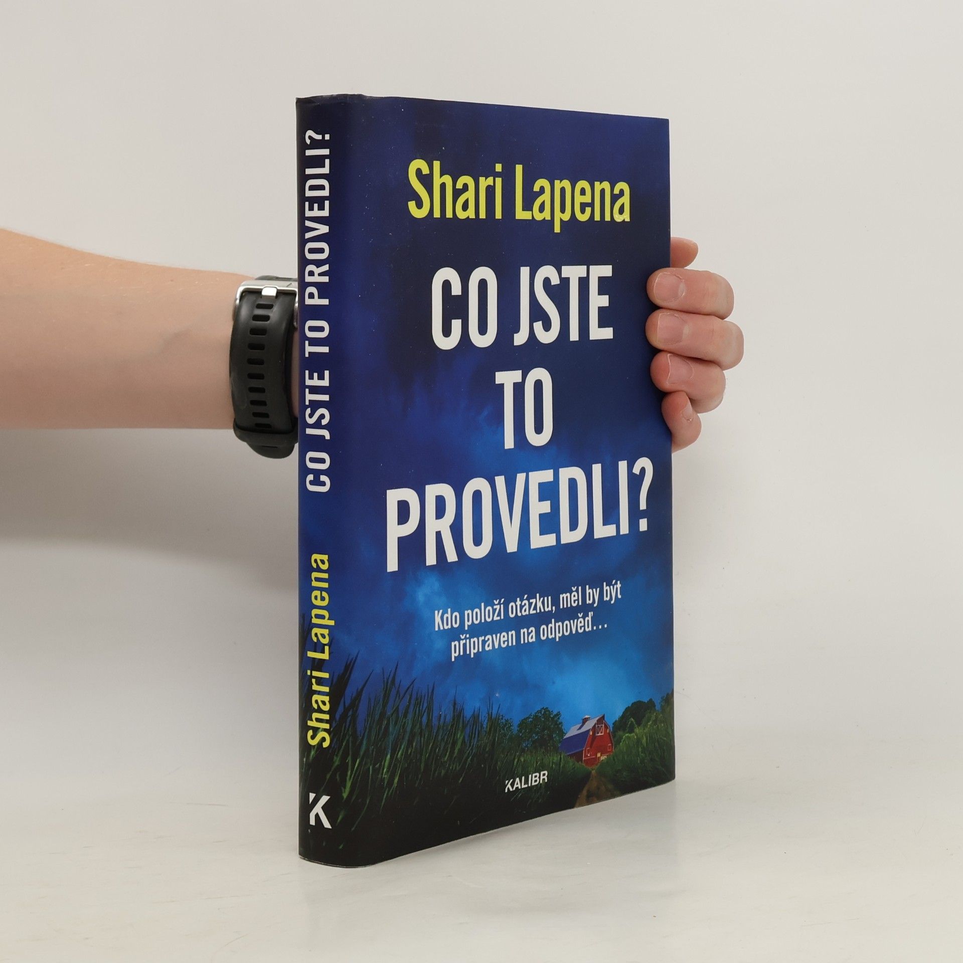 Shari Lapena Co jste to provedli?