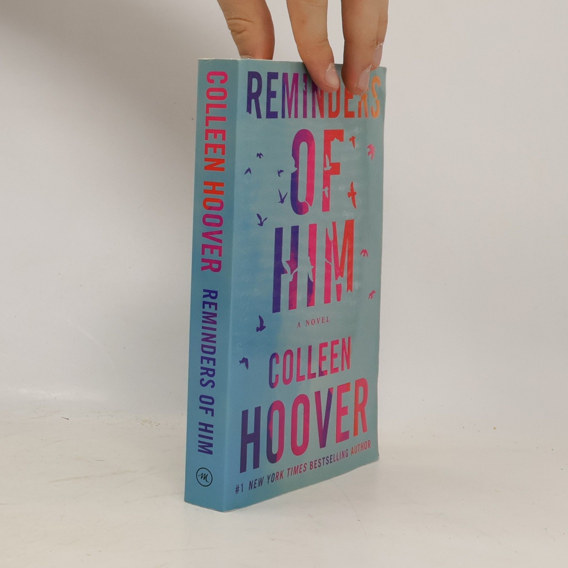 Colleen Hoover Reminders of him