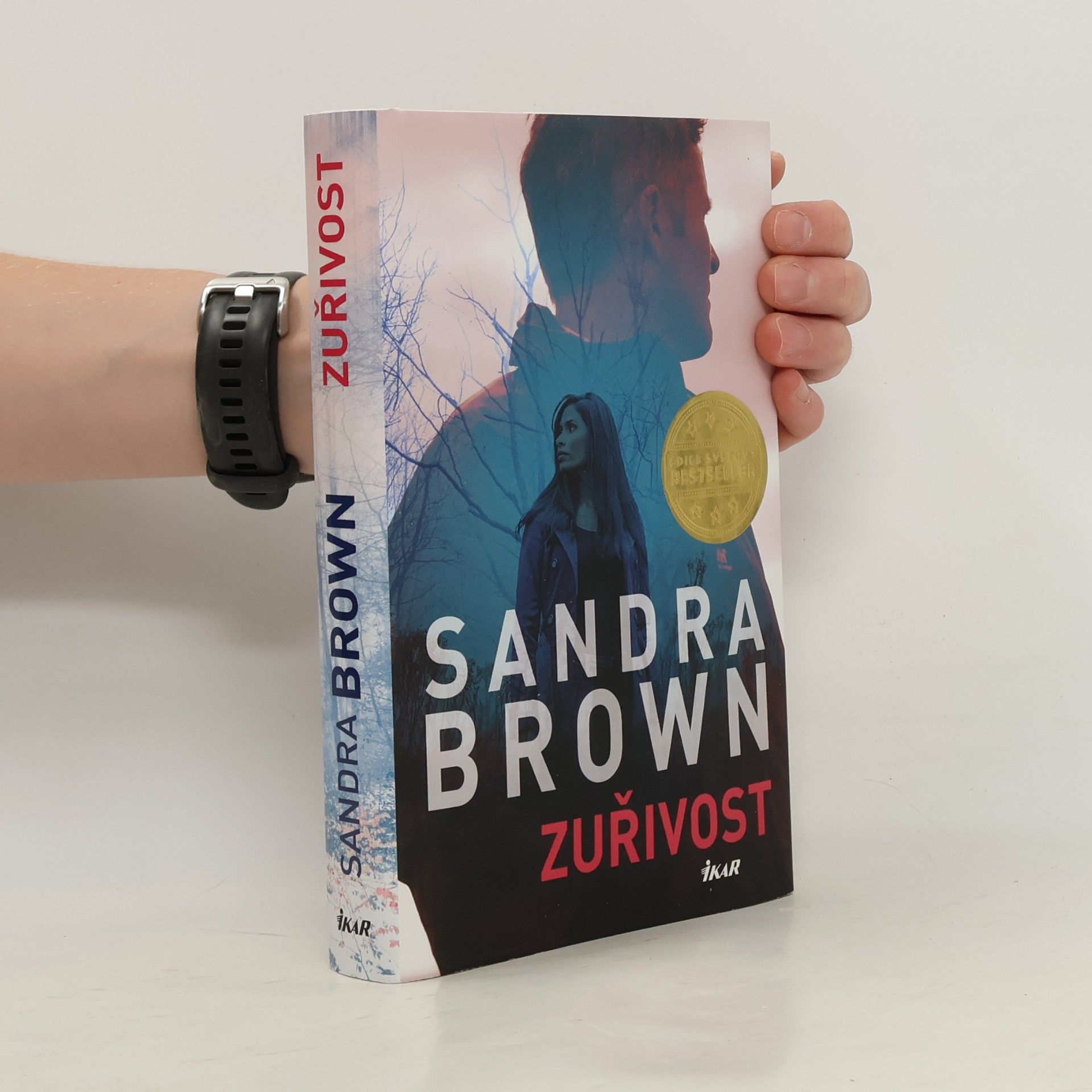 Sandra Brown Zuřivost