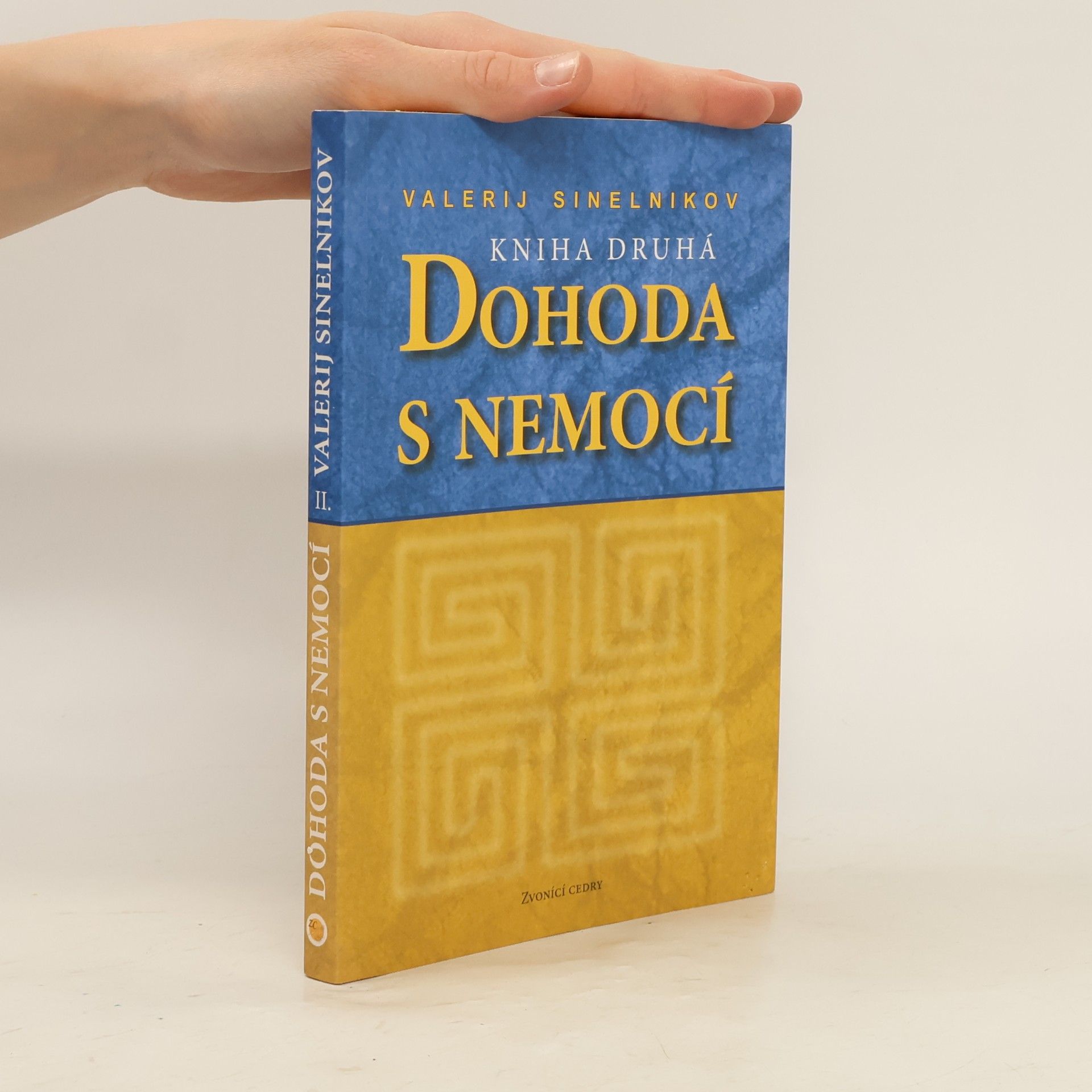 Valerij Vladimirovič Sinel‘nikov Dohoda s nemocí. Kniha druhá