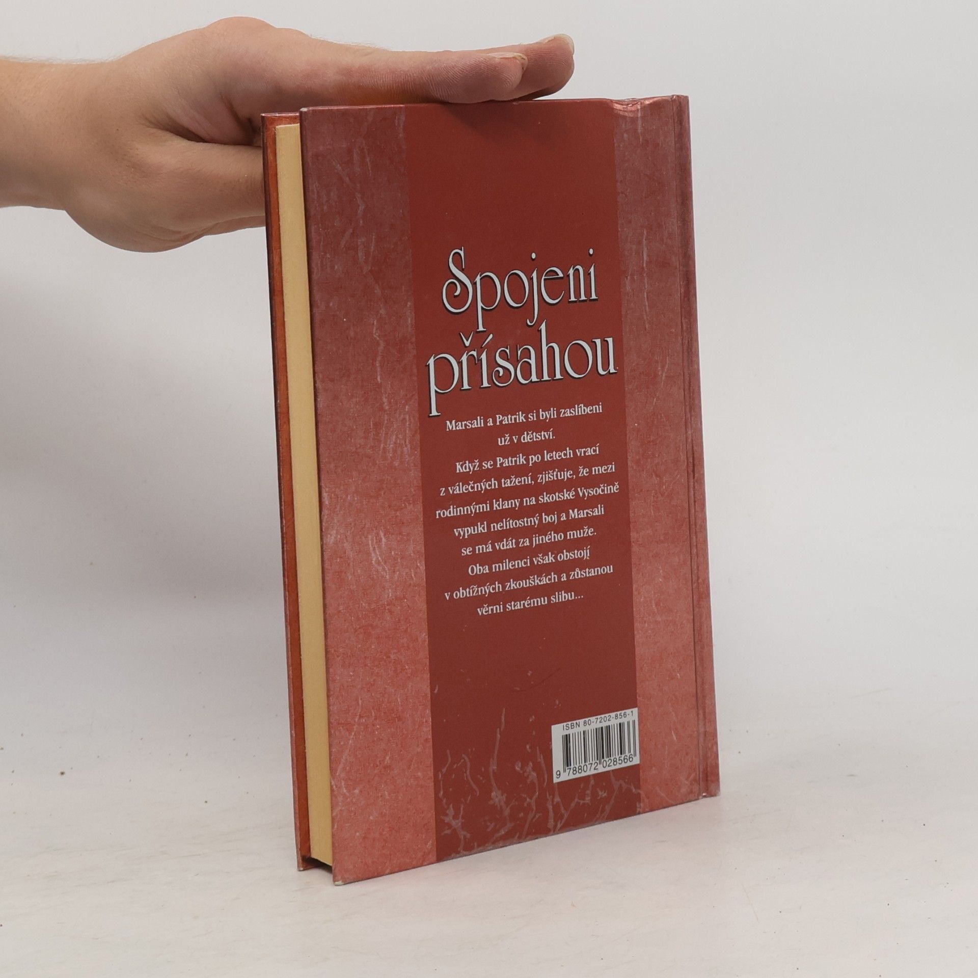 Patricia Potter Spojeni přísahou
