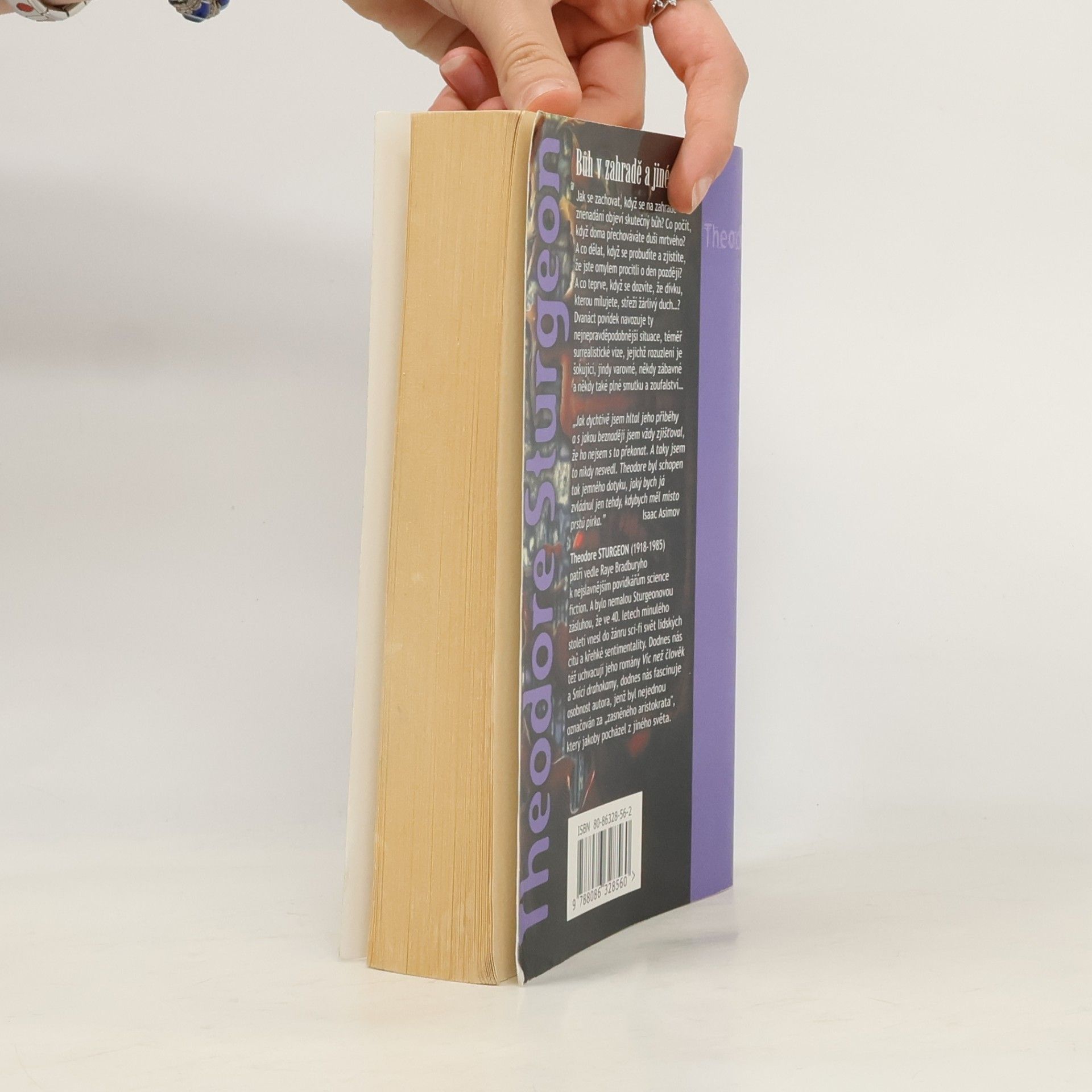 Theodore Sturgeon Bůh v zahradě a jiné vize