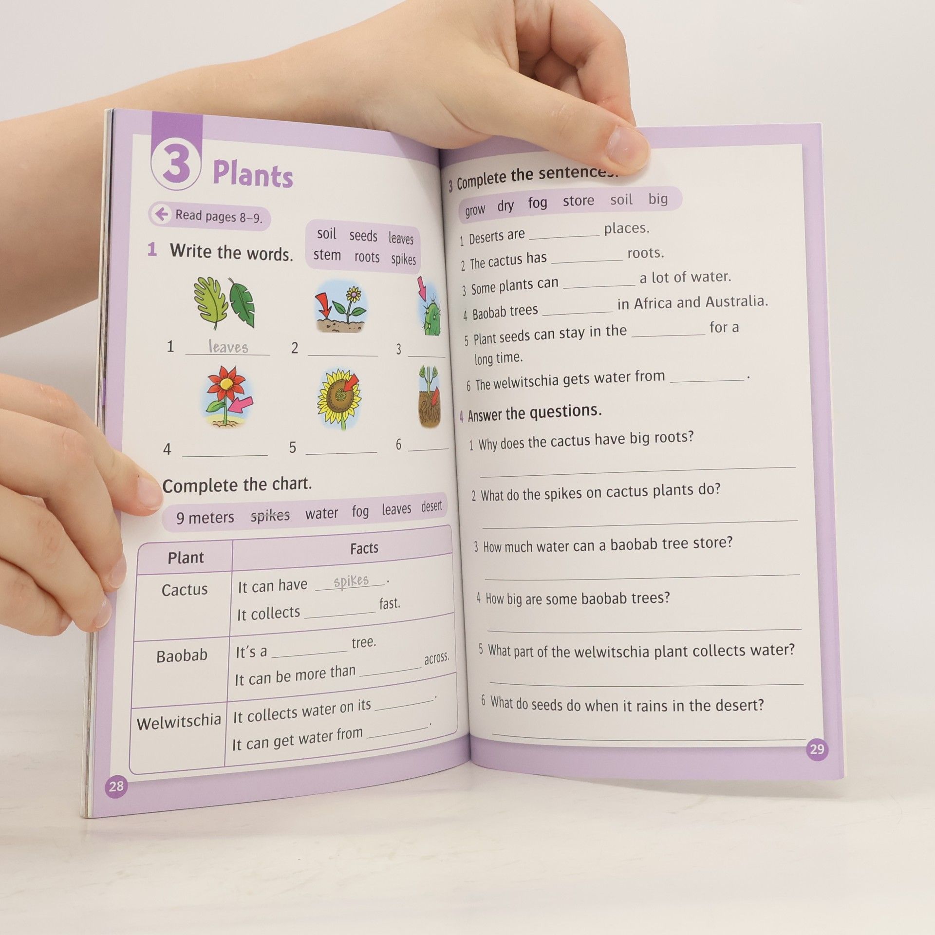 Julie Penn Oxford Read and Discover: Level 4: All About Desert Life