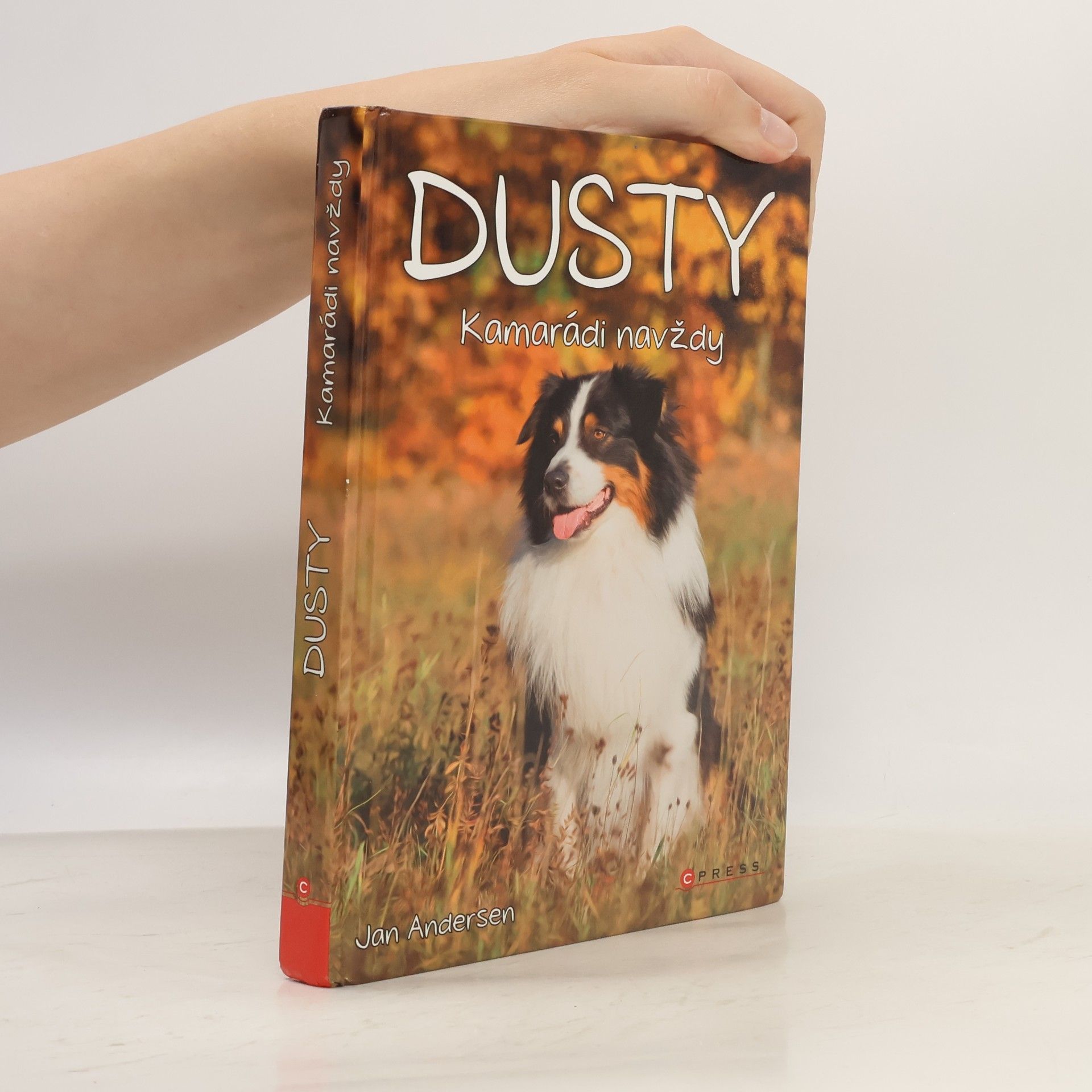 Dusty: Kamarádi navždy