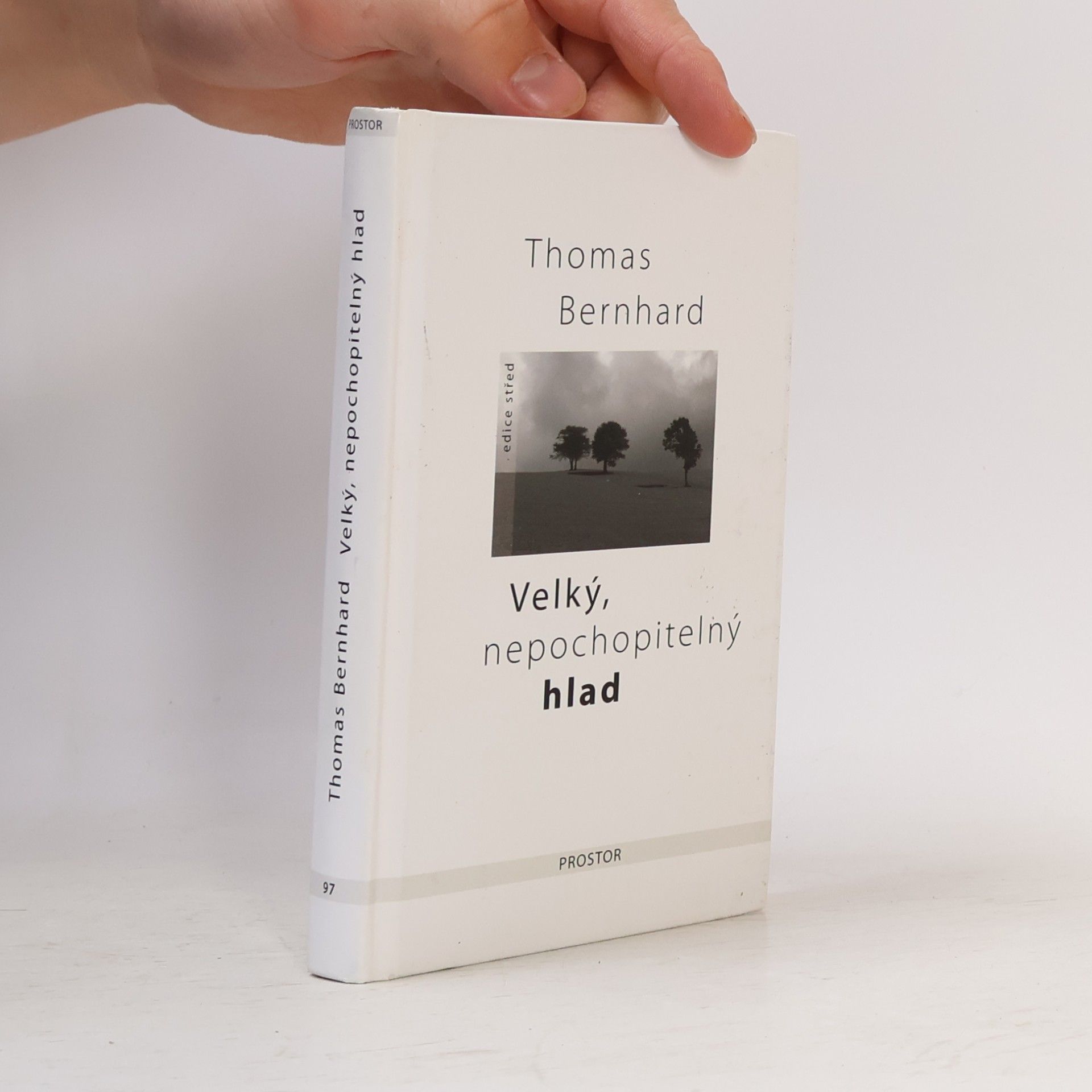 Thomas Bernhard Velký, nepochopitelný hlad