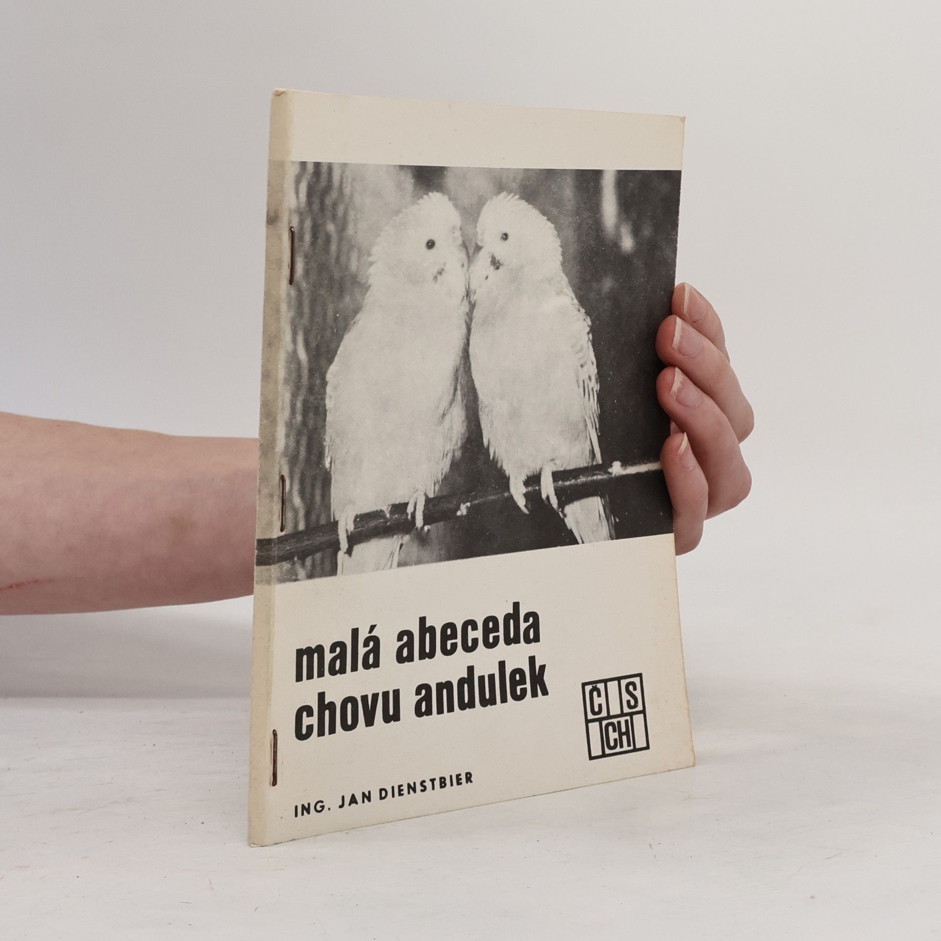 Malá abeceda chovu andulek