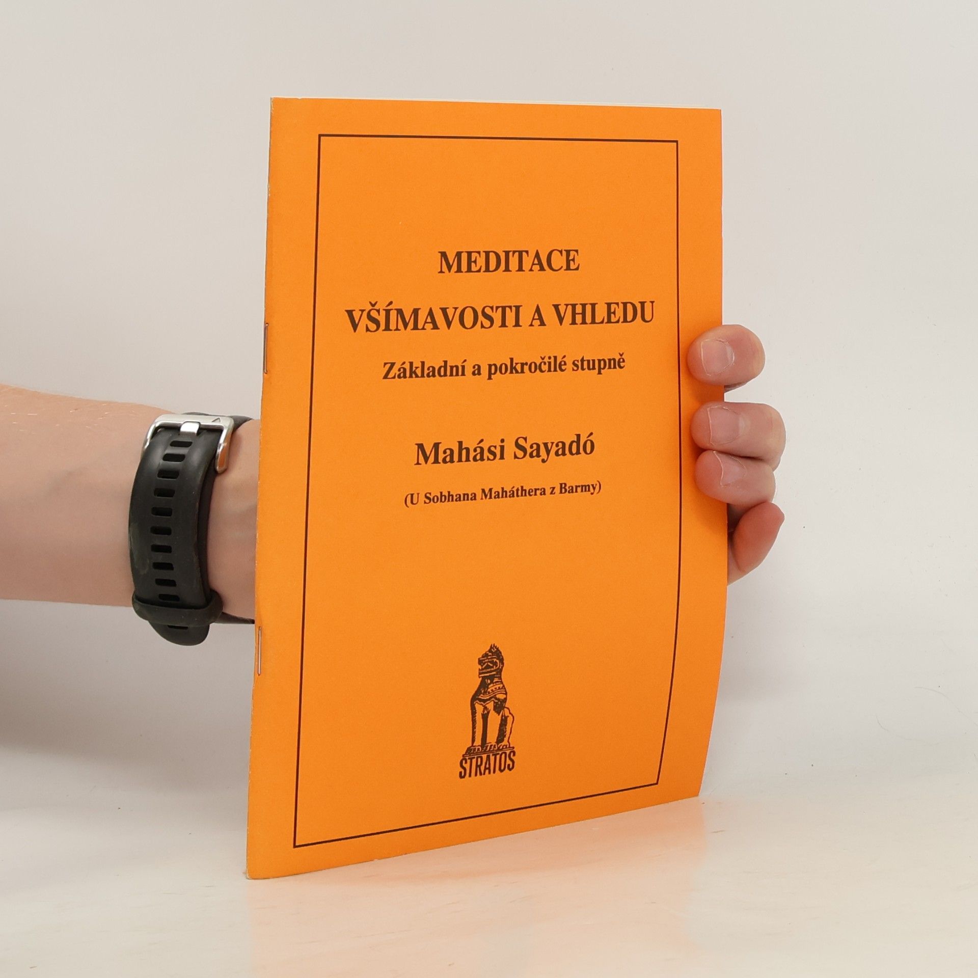 Meditace všímavosti a vhledu