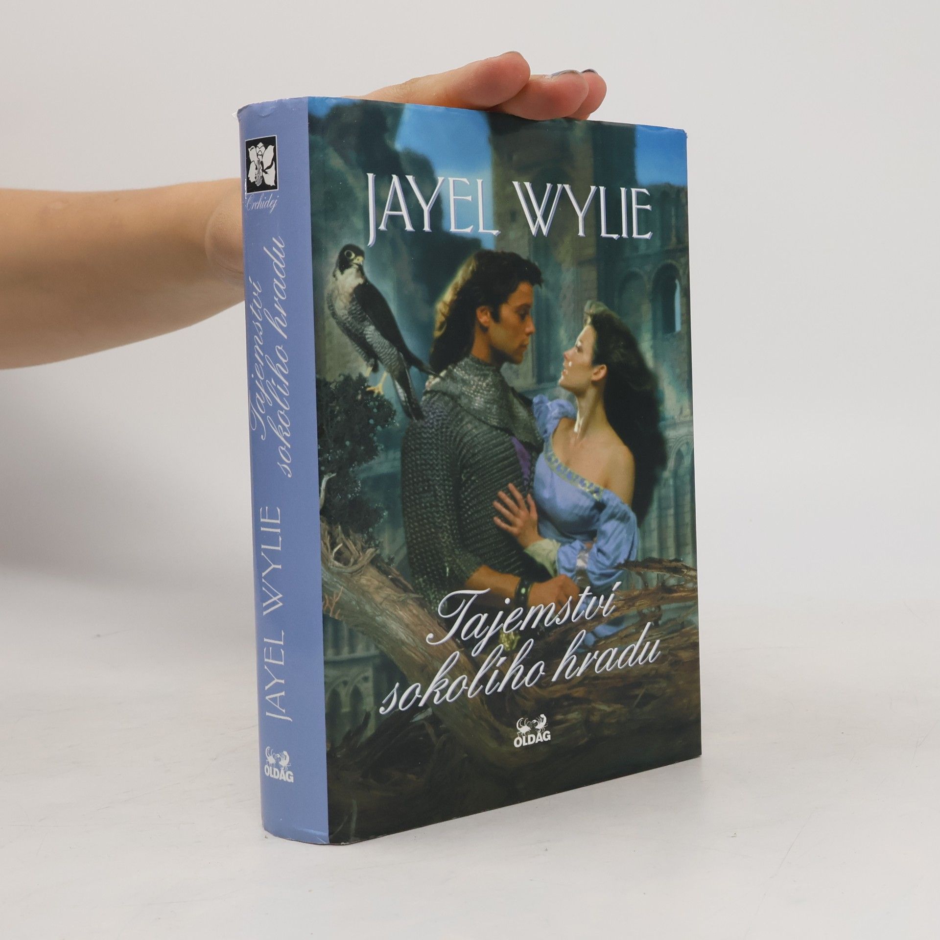 Jayel Wylie Tajemství sokolího hradu