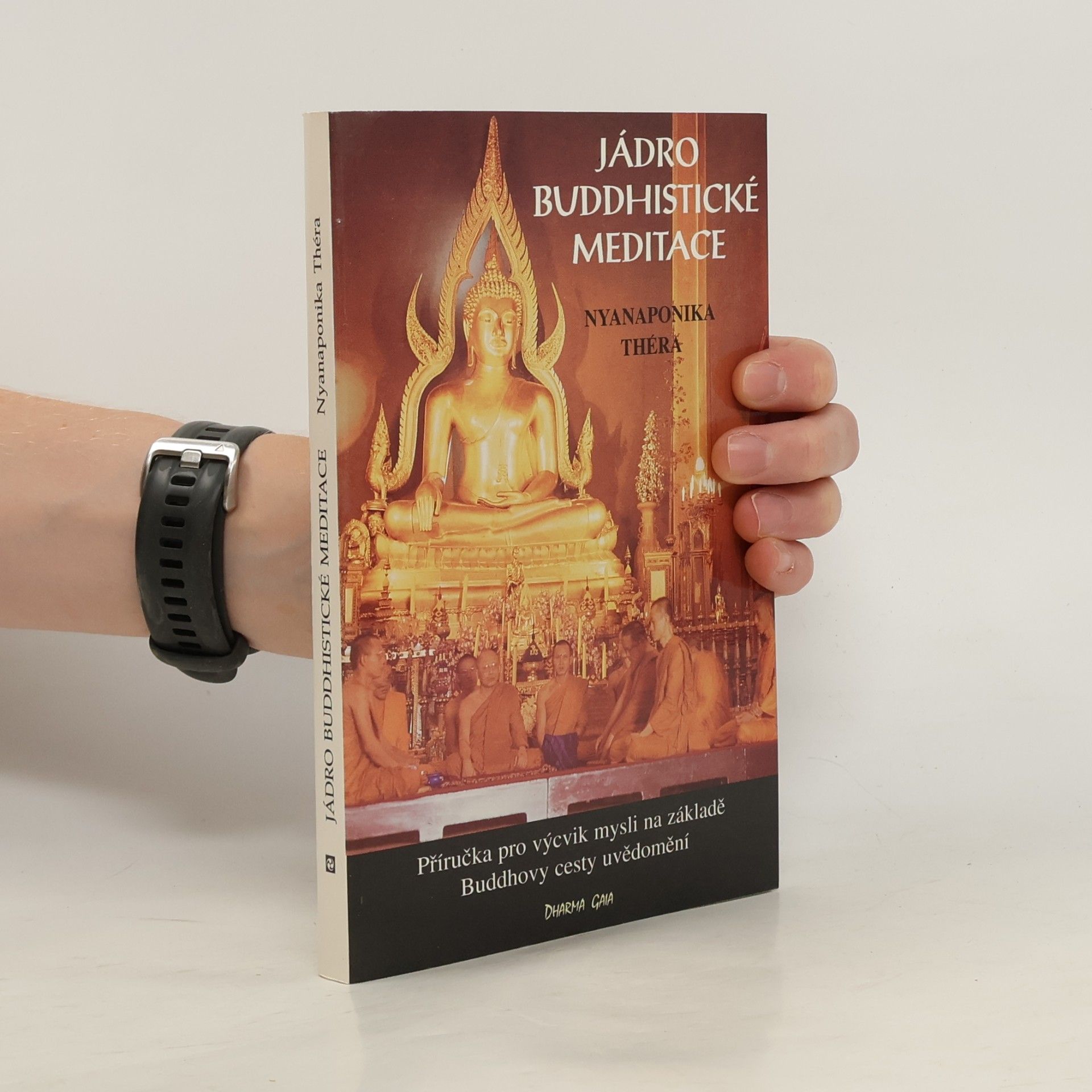 Nyánaponika Maháthera Jádro buddhistické meditace : satipatthána : příručka pro výcvik mysli na základě Buddhovy cesty uvědomění : s antologií textů přeložených z pálijštiny a sanskrtu