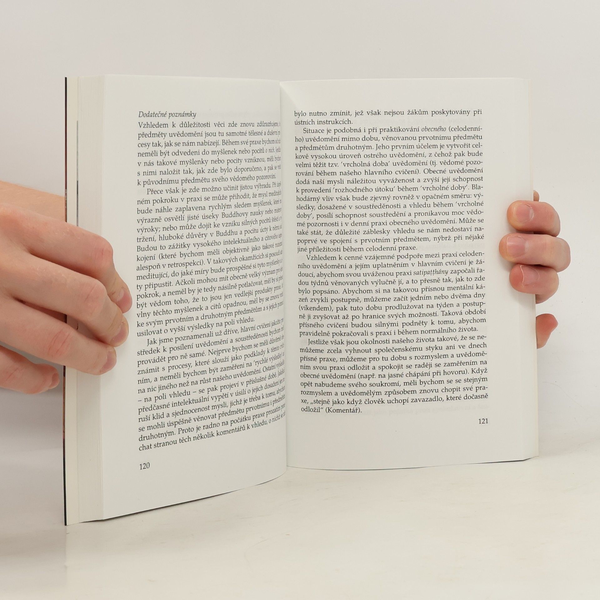 Karel Werner Jádro buddhistické meditace : satipatthána : příručka pro výcvik mysli na základě Buddhovy cesty uvědomění : s antologií textů přeložených z pálijštiny a sanskrtu
