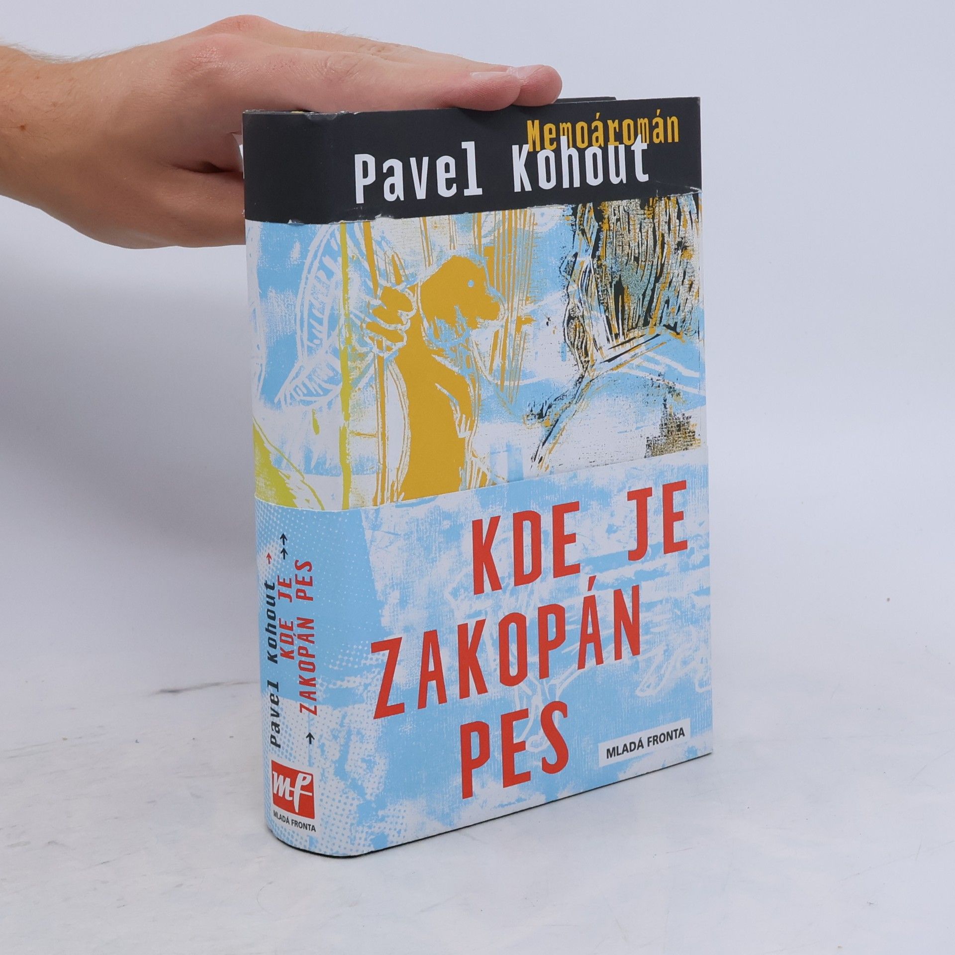 Pavel Kohout Kde je zakopán pes