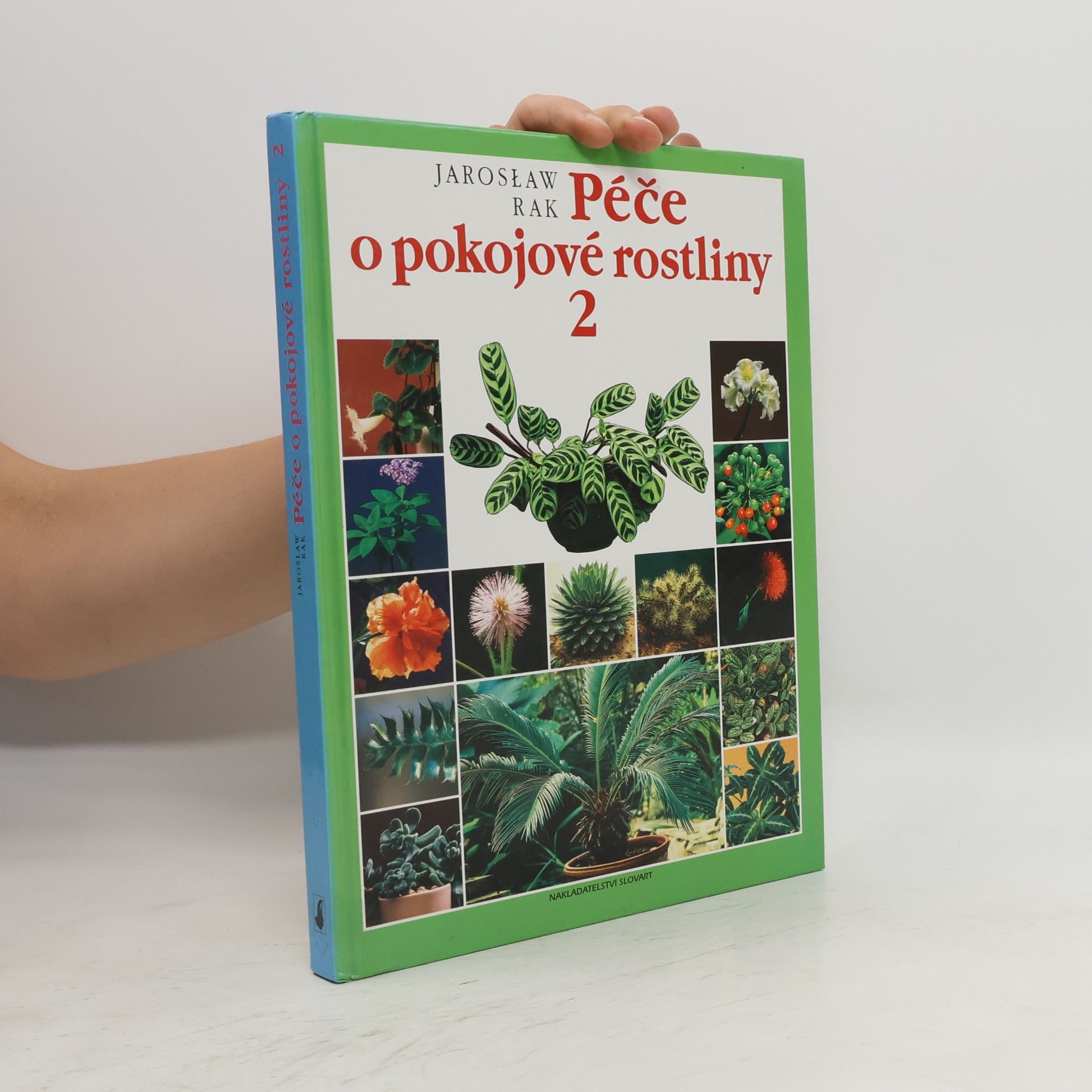Jarosław Rak Péče o pokojové rostliny 2
