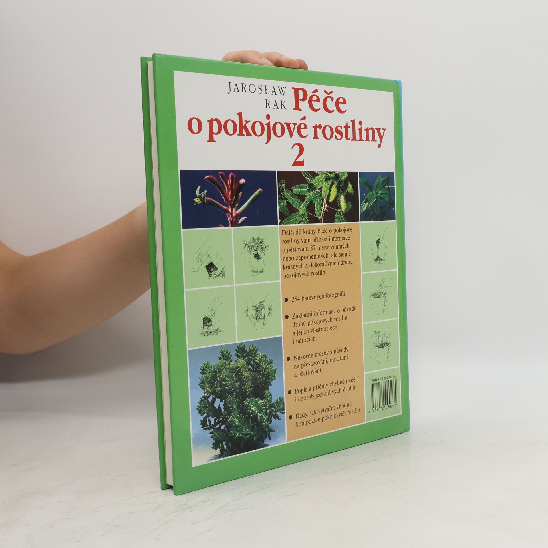 Jarosław Rak Péče o pokojové rostliny 2