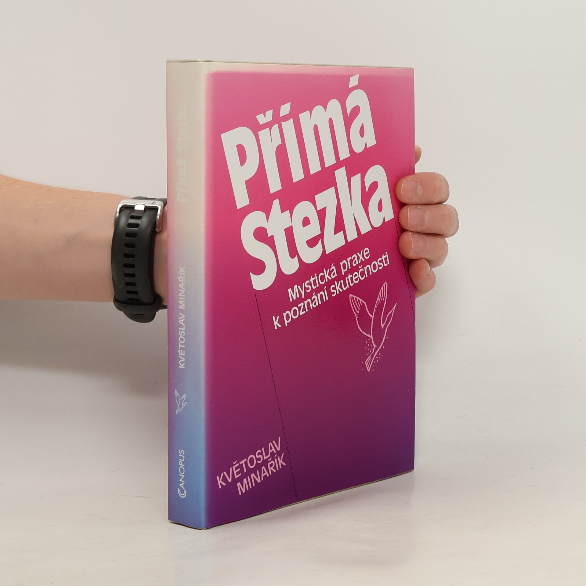 Kvetoslav Minarik Přímá stezka