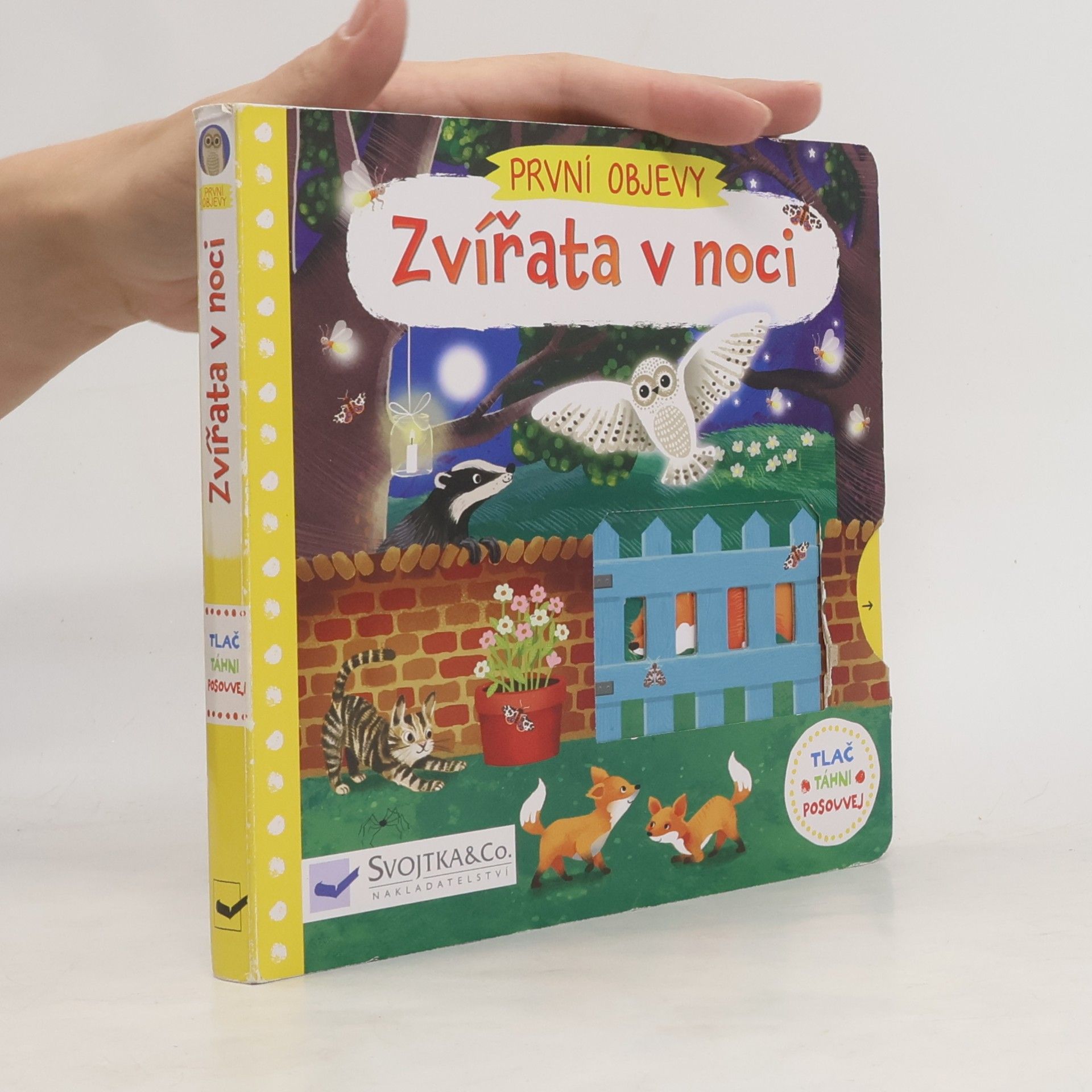Jenny Wren První objevy: Zvířata v noci