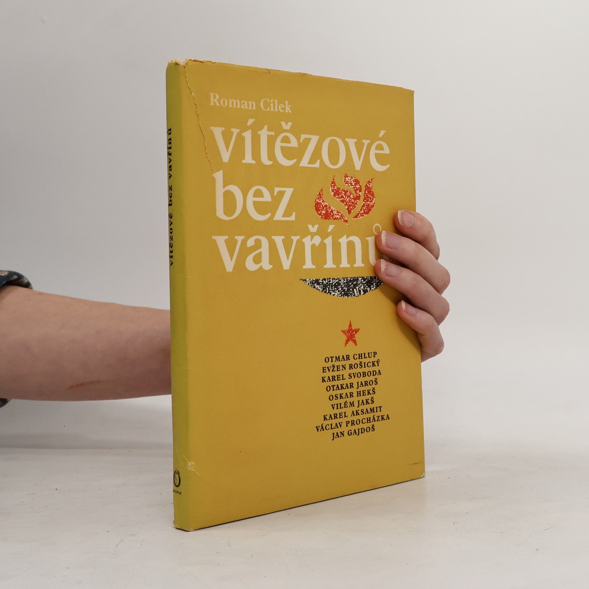 Roman Cílek Vítězové bez vavřínů : [devět příběhů]