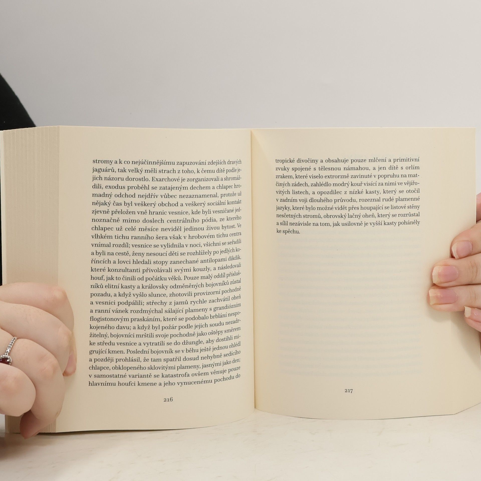 David Foster Wallace Zapomnění