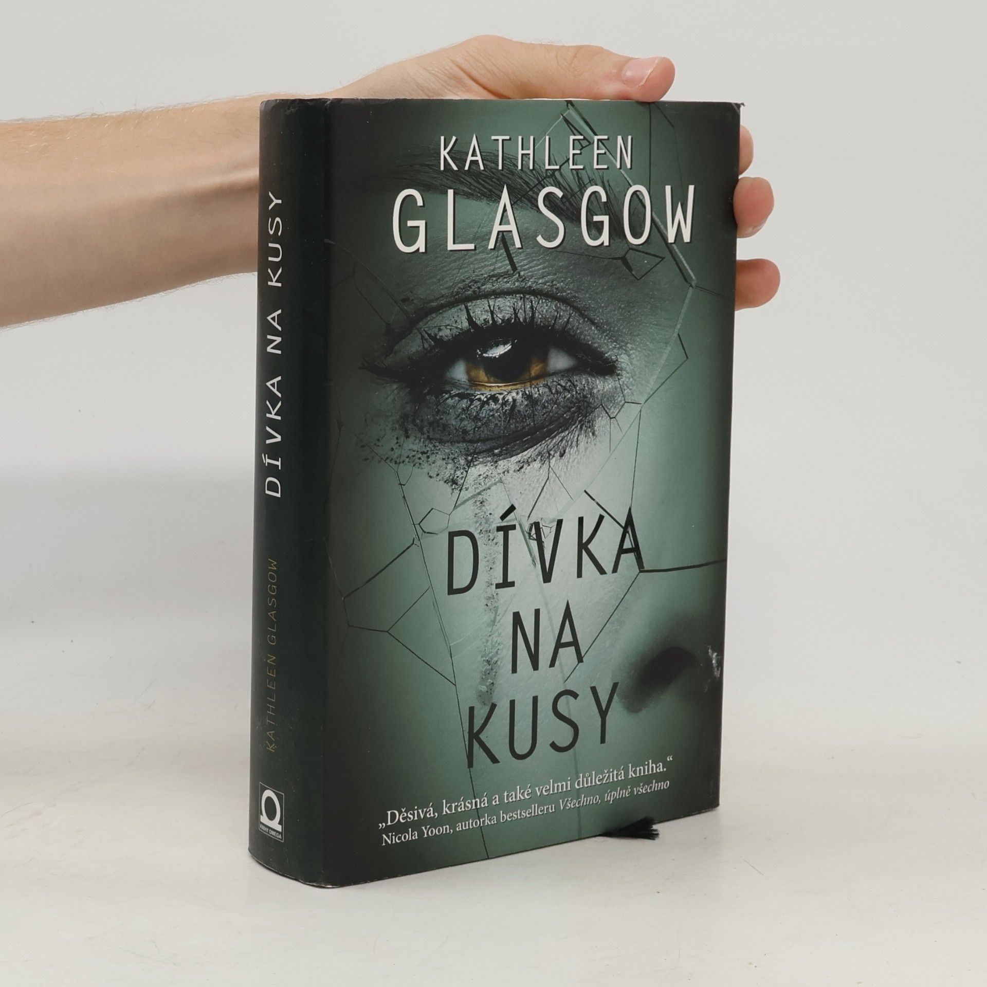 Kathleen Glasgow Dívka na kusy