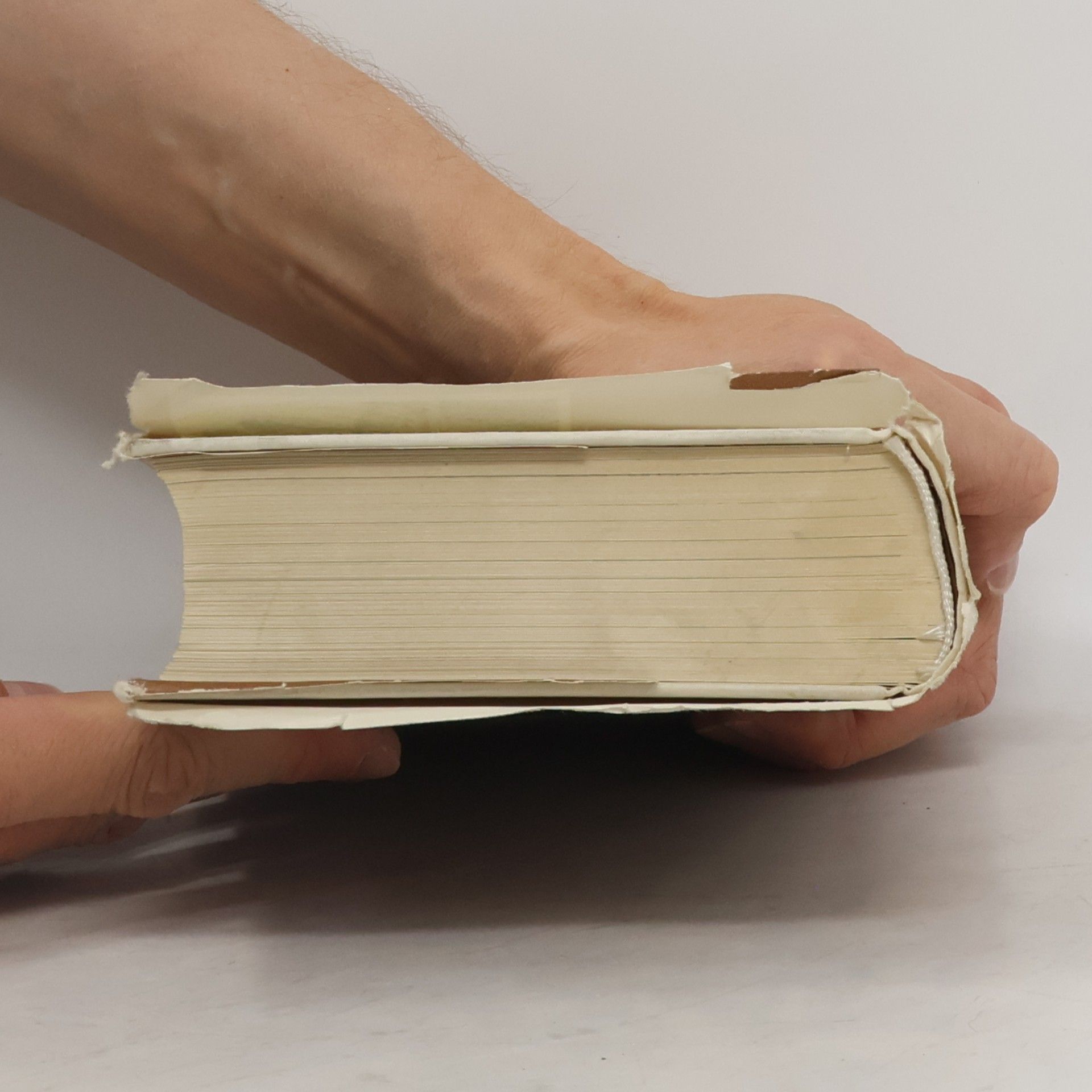 Gladys Schmit Rembrandt
