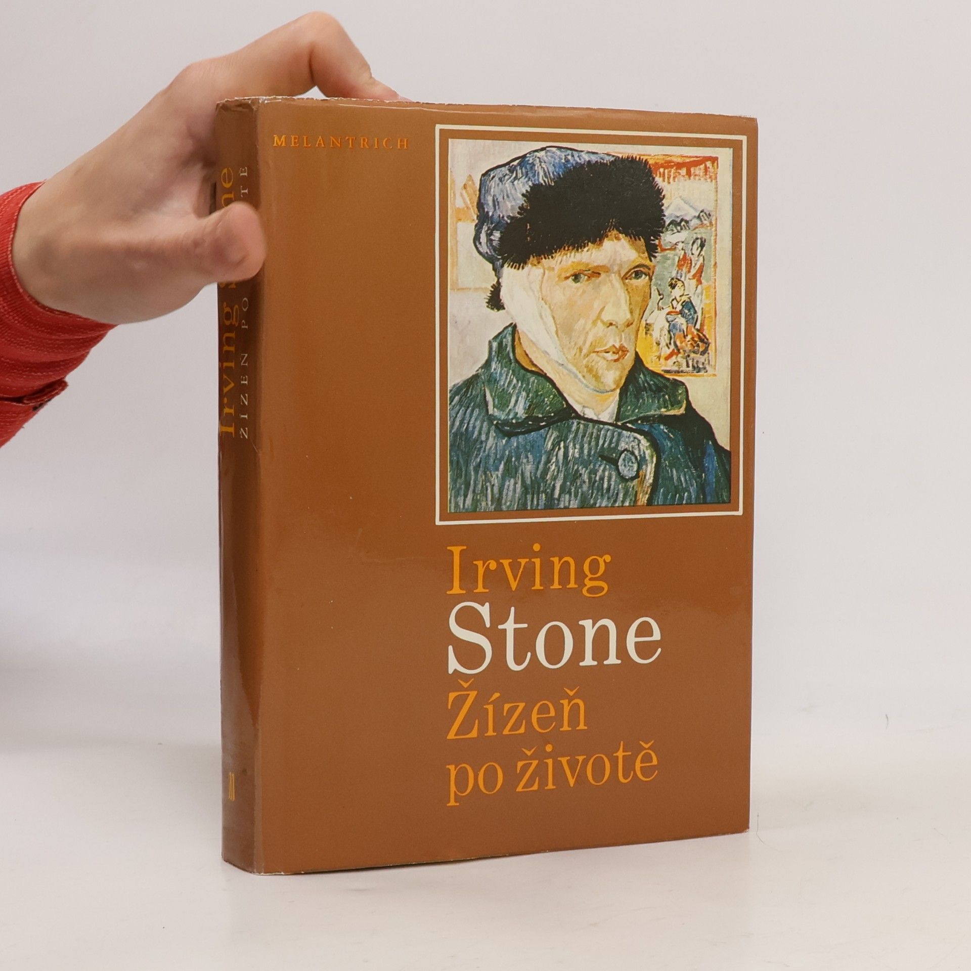 Irving Stone Žízeň po životě