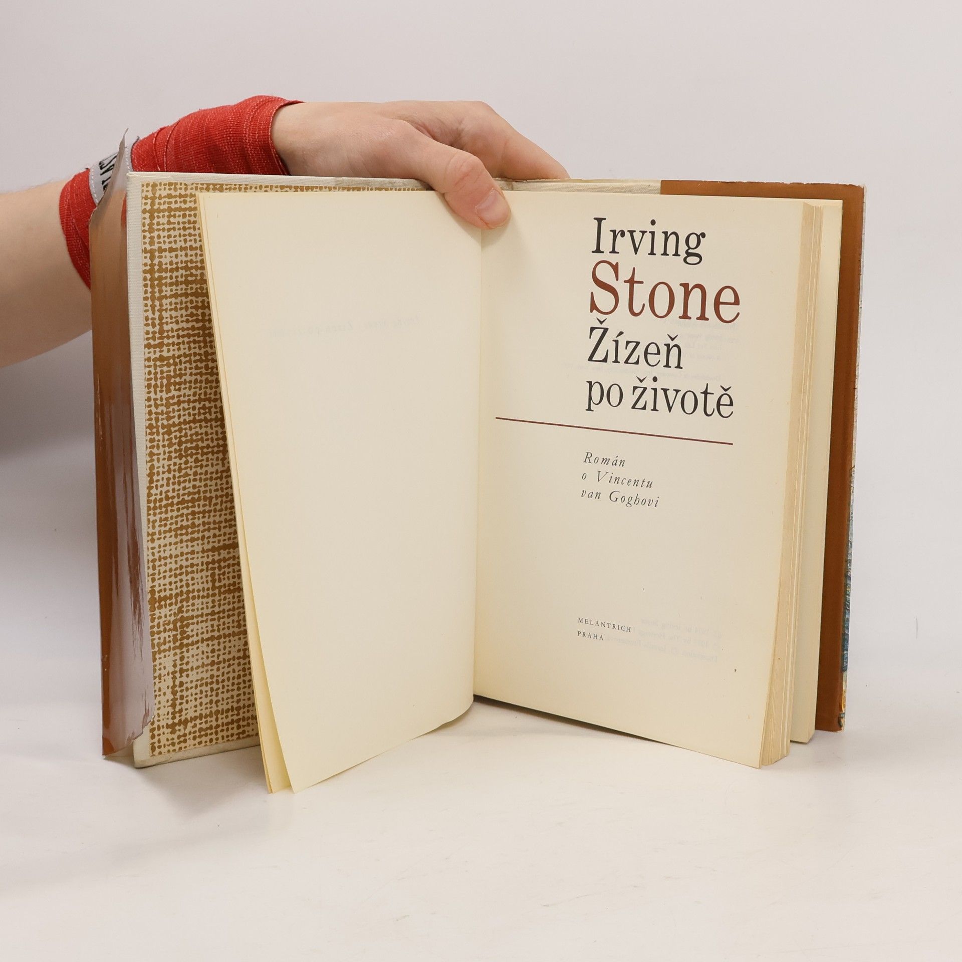 Irving Stone Žízeň po životě
