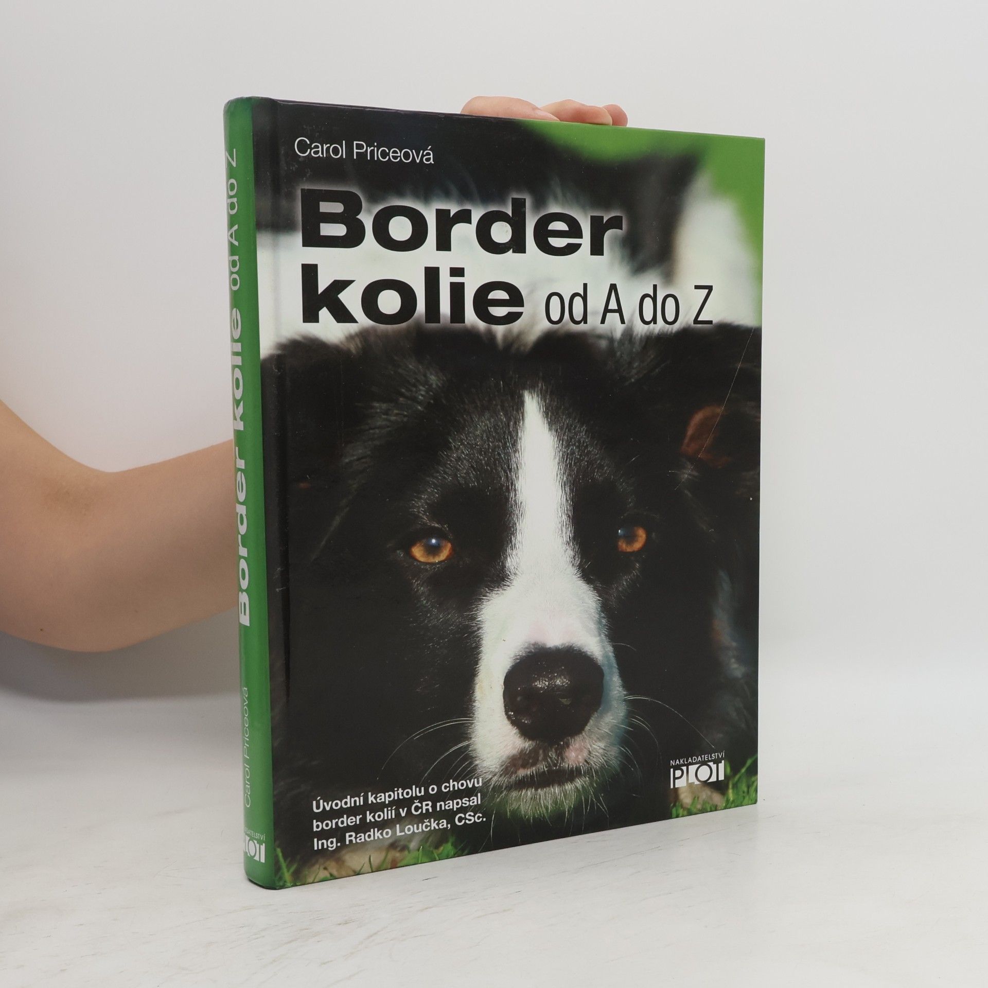 Carol Price Border kolie od A do Z