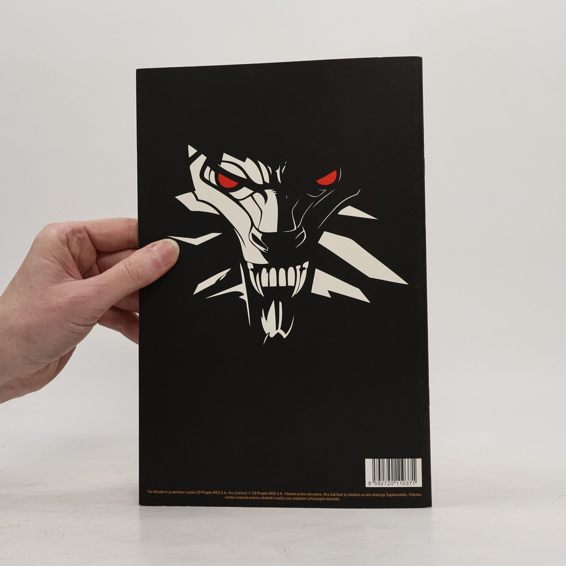 Michal Galek Zaklínač komiks