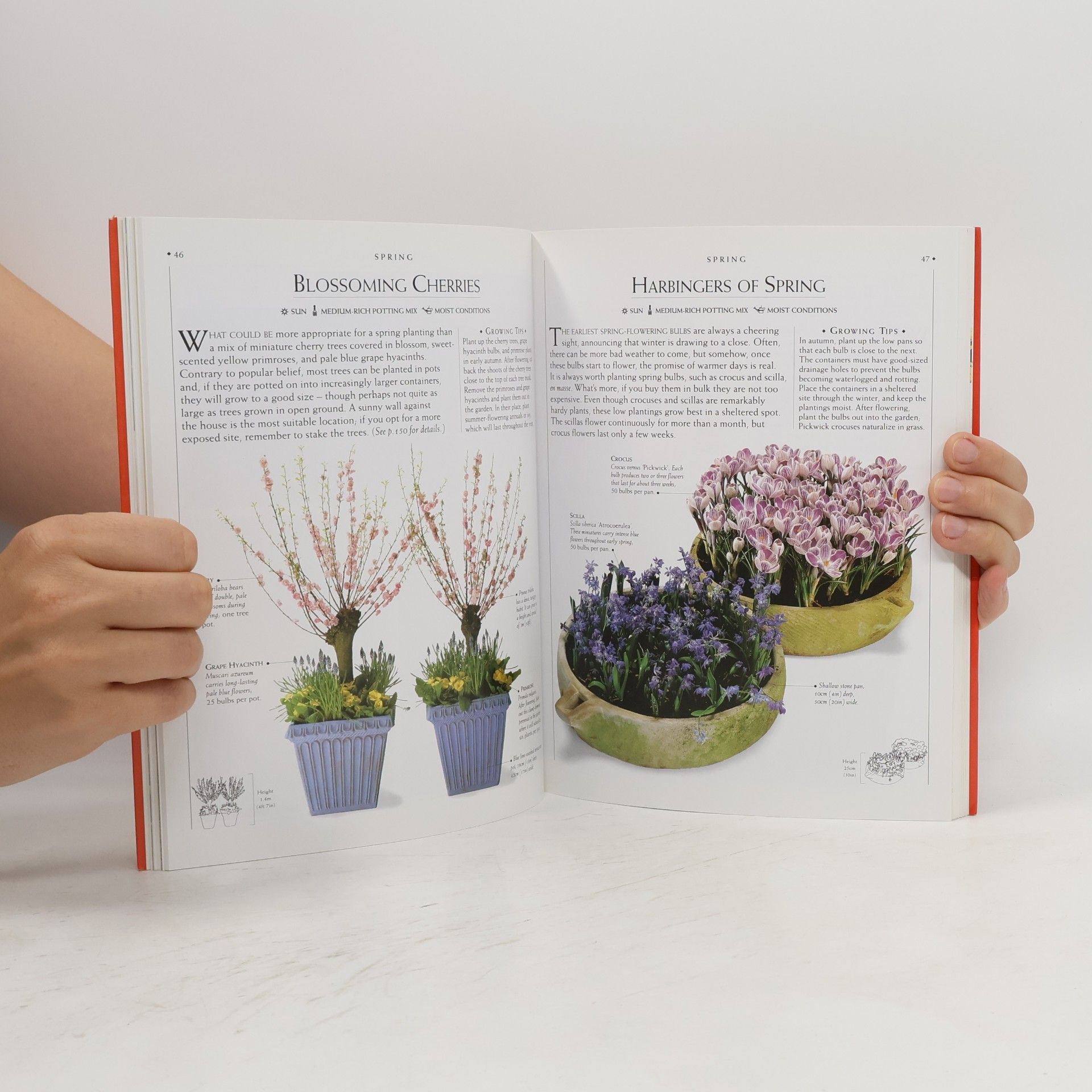 Malcolm Hillier DK Living: Container Gardening Through the Year