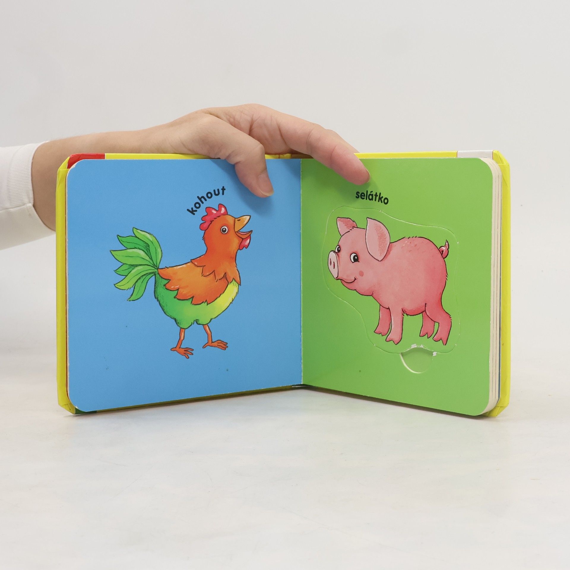 Kolektiv autorů Moje knížka s puzzle: Nejoblíbenější zvířatka