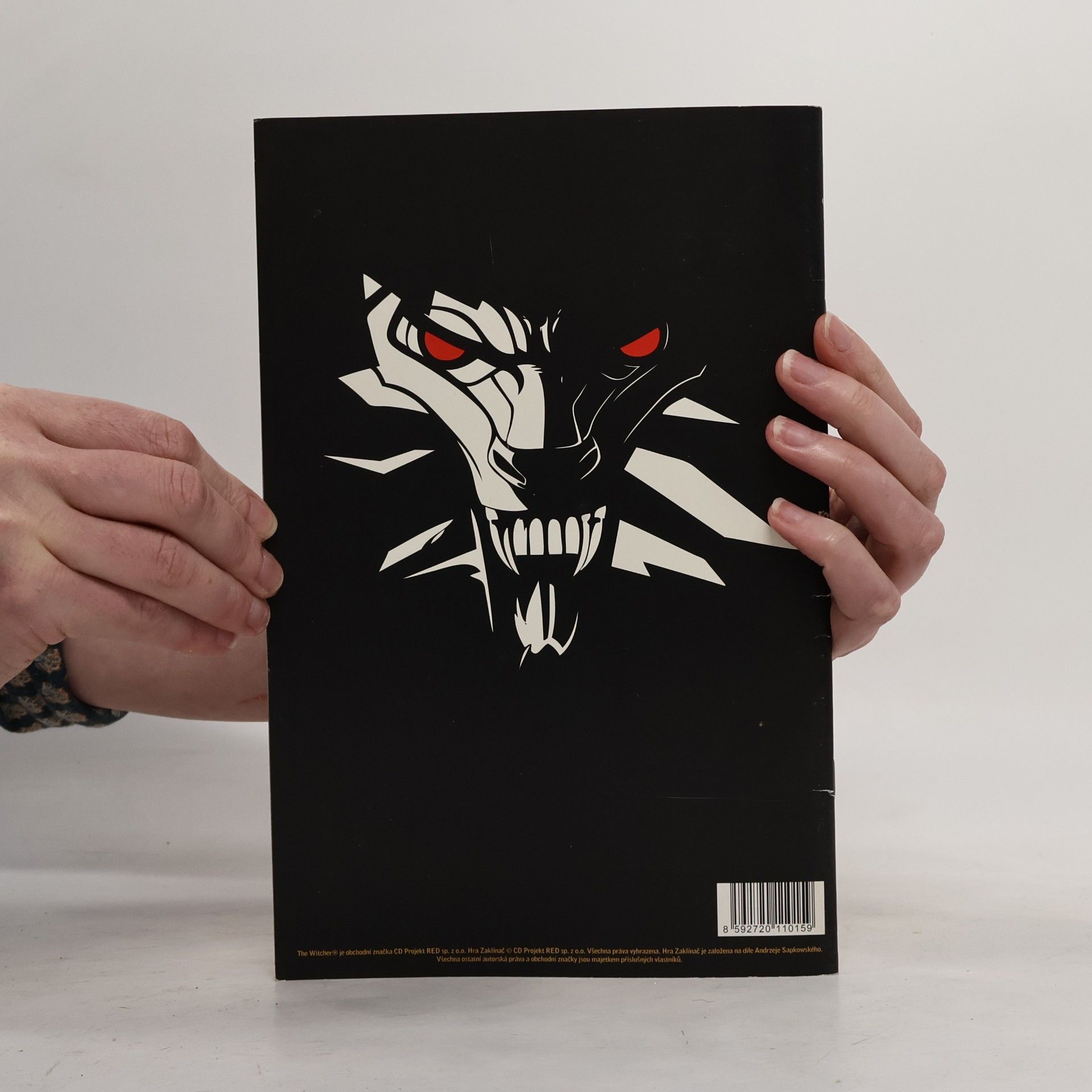 AA.VV. Zaklínač komiks - Zájmy státu 1