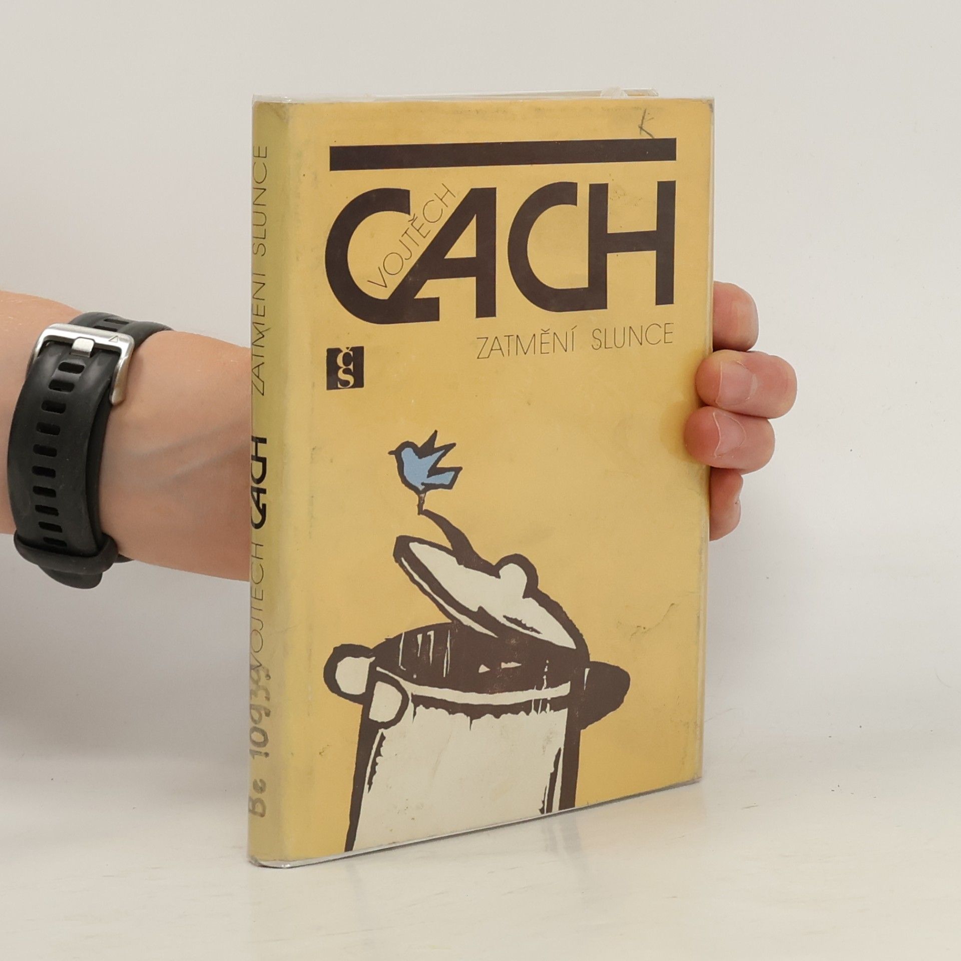 Vojtěch Cach Zatmění slunce