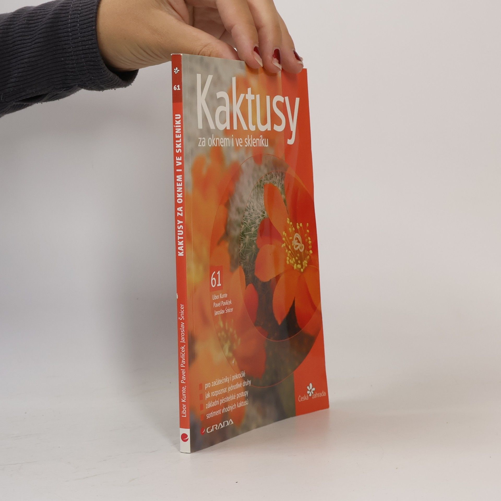 Jaroslav Šnicer Kaktusy za oknem i ve skleníku