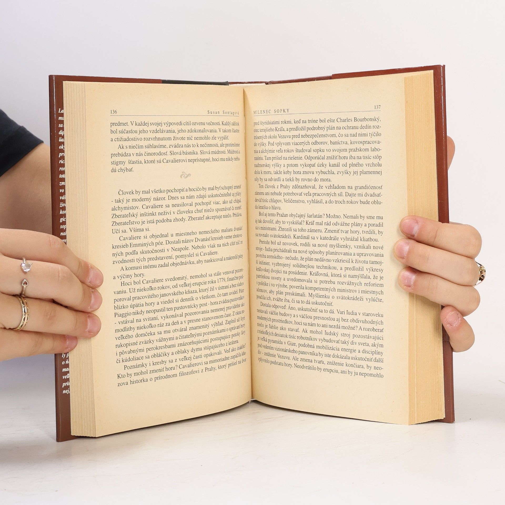 Susan Sontag Milenec sopky