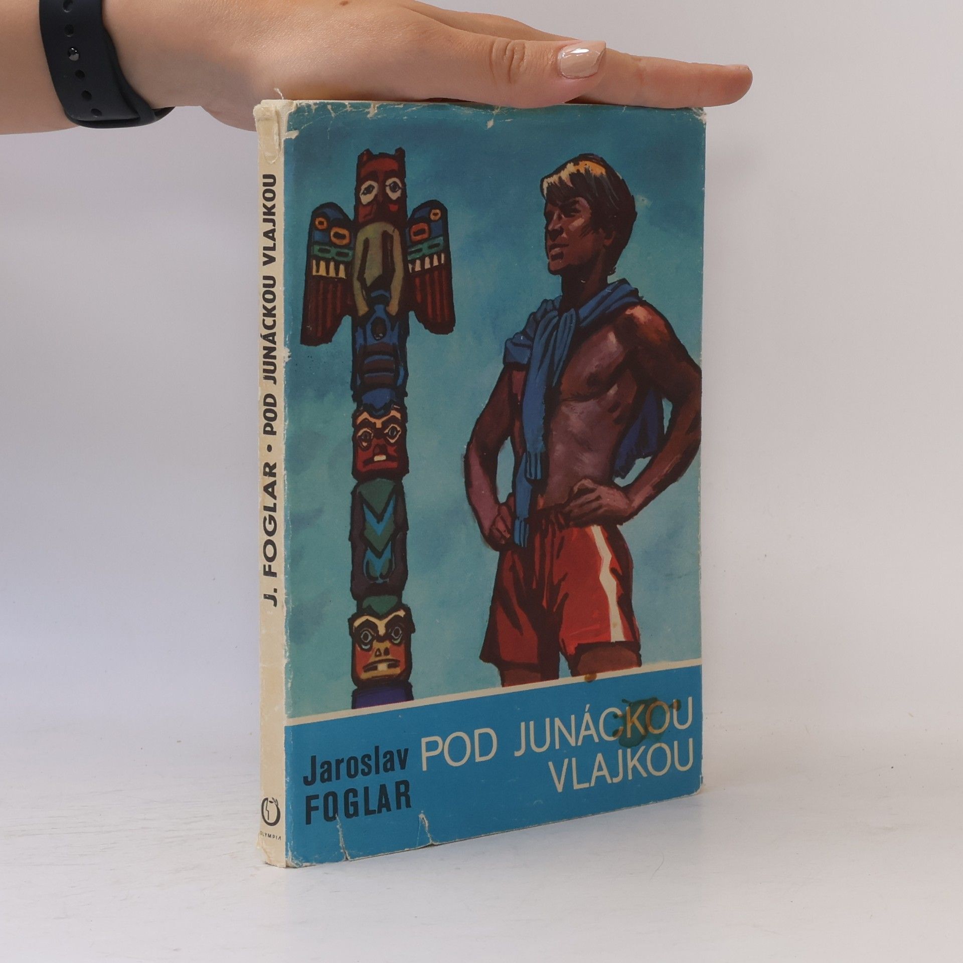 Pod junáckou vlajkou