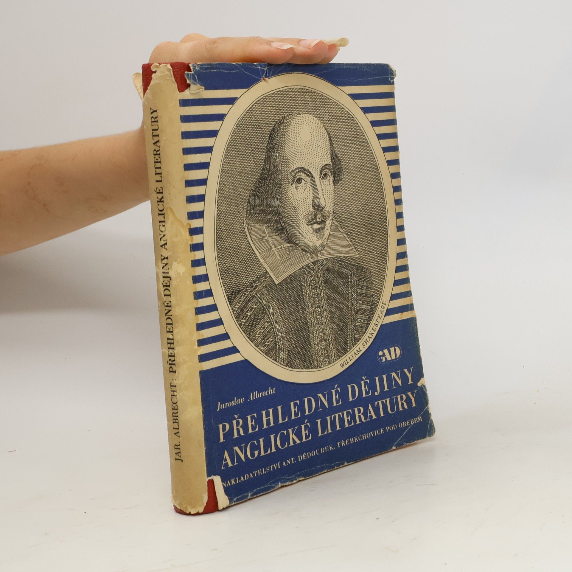 Jaroslav Albrecht Přehledné dějiny anglické literatury
