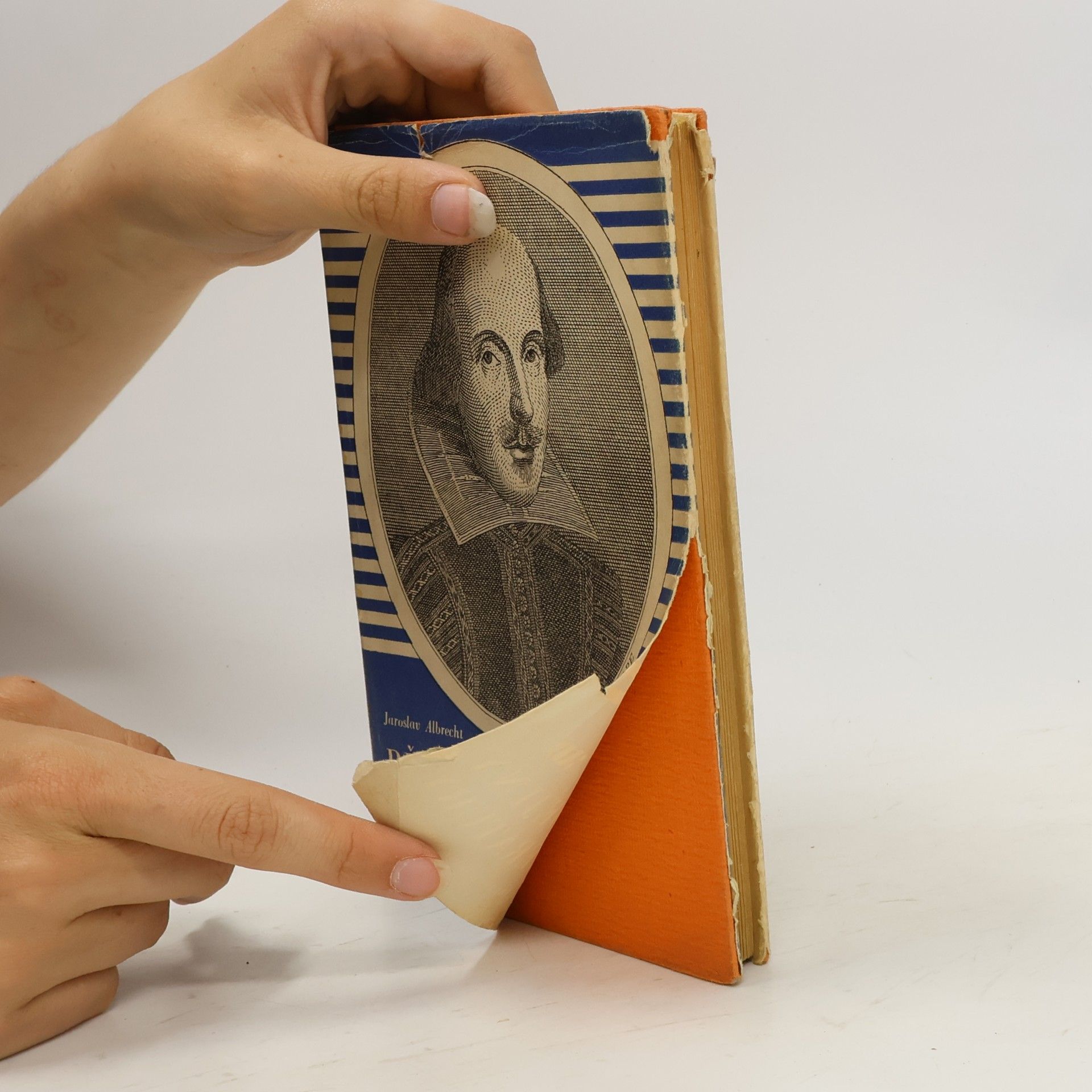 Jaroslav Albrecht Přehledné dějiny anglické literatury