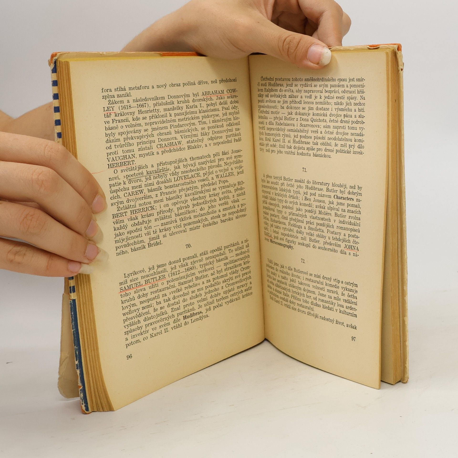 Jaroslav Albrecht Přehledné dějiny anglické literatury